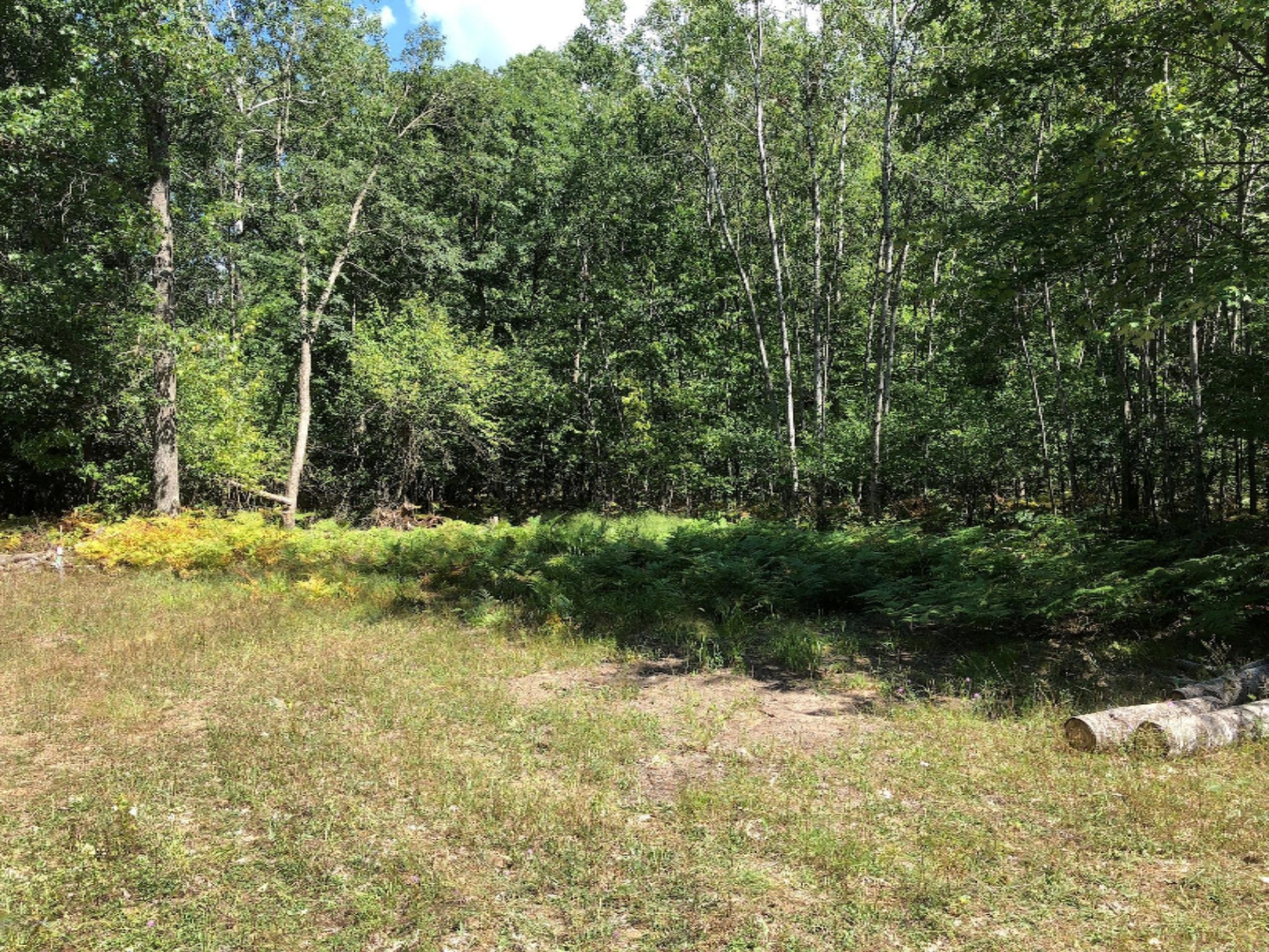 3745 Clements Road Brethren, MI 49619 - Photo 4 of 6 Sexton 10 ac (3)