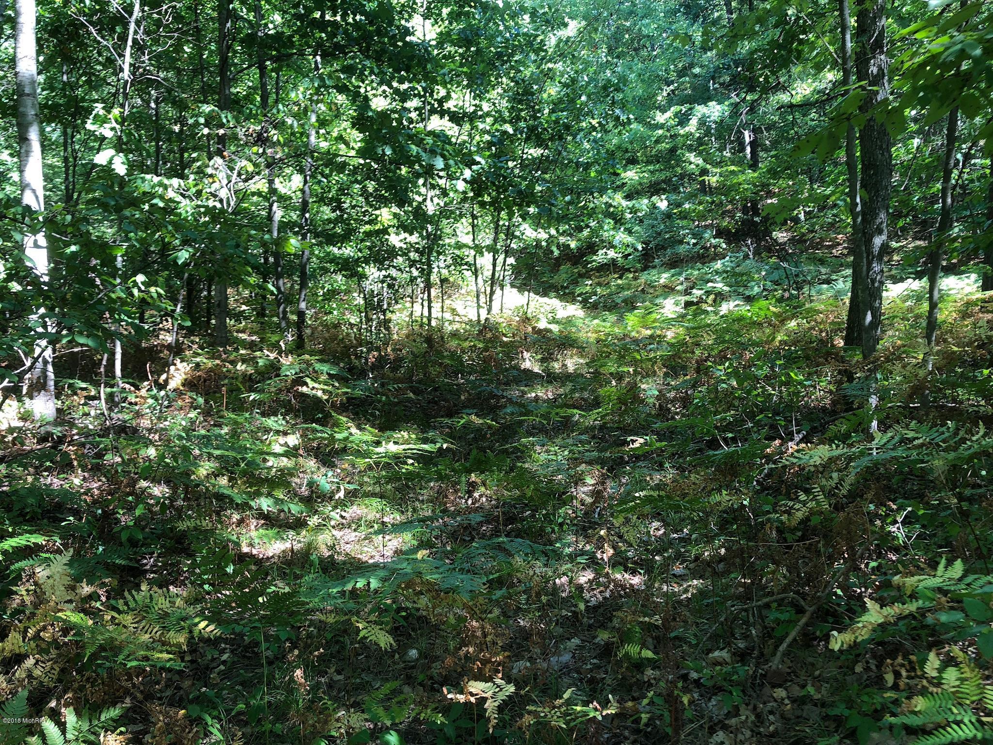3745 Clements Road Brethren, MI 49619 - Photo 5 of 6 Sexton 10 ac (5)