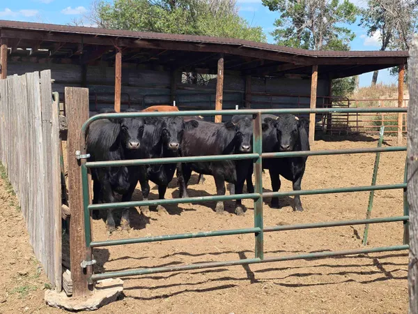 $349,900 | 4362 Highway 26, Torrington, WY 82240