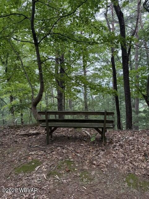 101 Parcel Road Williamsport, PA 17701 - Photo 7 of 13 Gallery Image 7