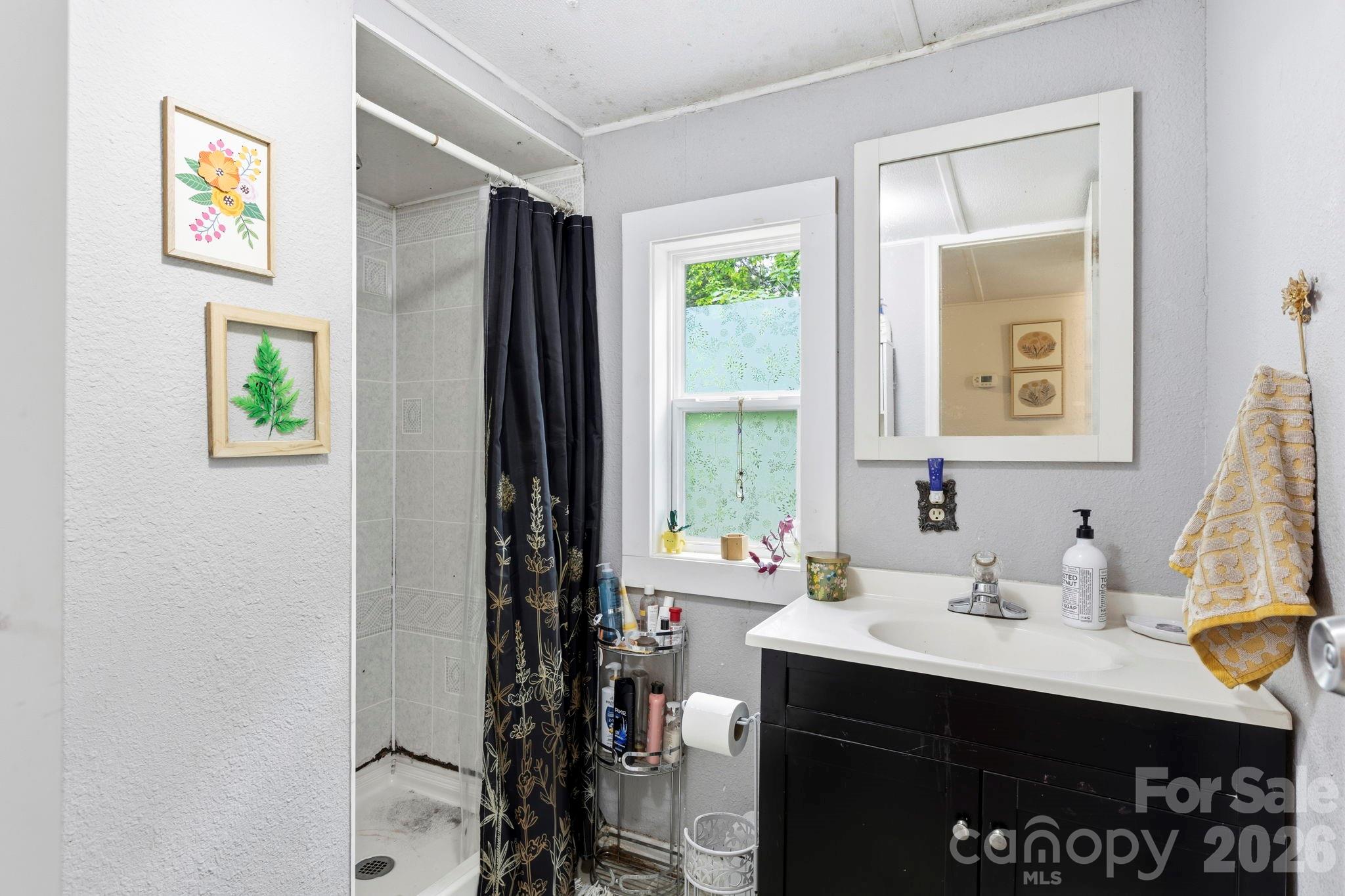 4 Mountain View Road Asheville, NC 28806 - Photo 28 of 35 a bathroom with a sink vanity and a mirror