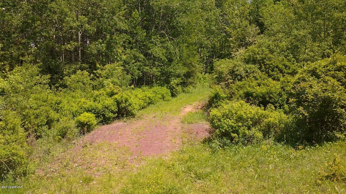 0 Old Farm Road Muncy Valley, PA 17758 - Photo 5 of 12 Driveway