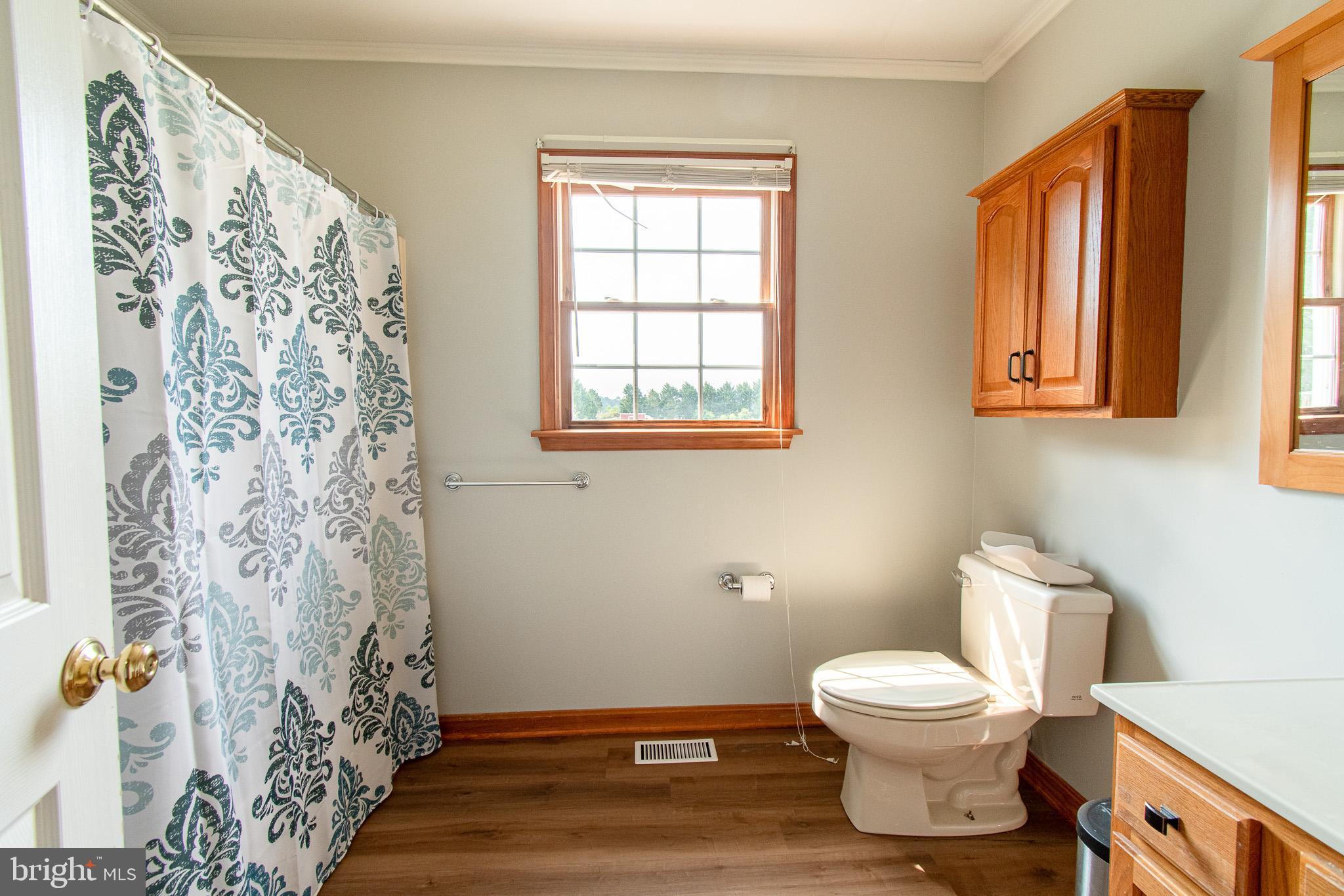 22408 Hog Creek Road Preston, MD 21655 - Photo 13 of 45 Primary Bath