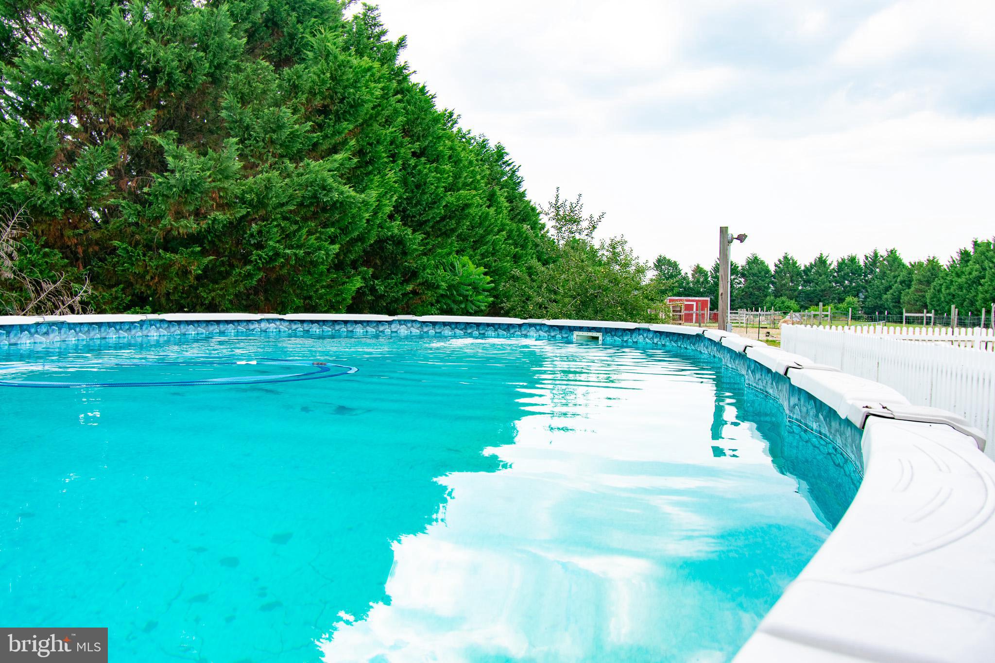 22408 Hog Creek Road Preston, MD 21655 - Photo 26 of 45 Above ground pool for your summer fun