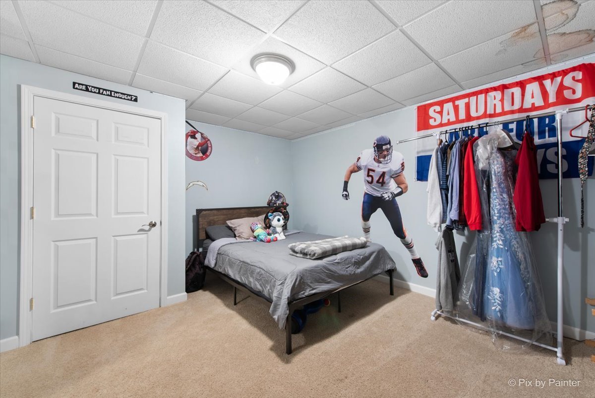 1712 Squirrel Trail Cary, IL 60013 - Photo 37 of 56