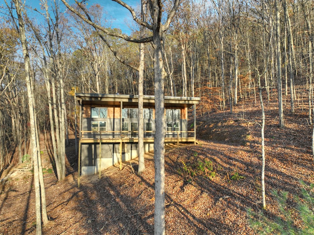 0 Meadowood Lane Blue Ridge, GA 30513 - Photo 23 of 33