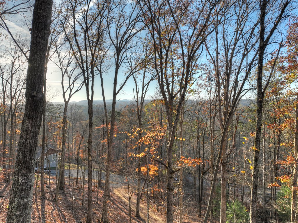 0 Meadowood Lane Blue Ridge, GA 30513 - Photo 27 of 33