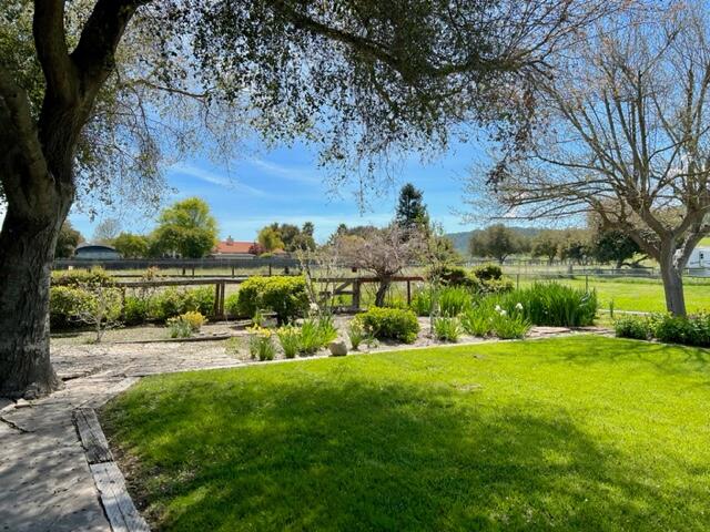 490 Foxen Lane Los Alamos, CA 93440 - Photo 12 of 16 a view of a backyard with large trees