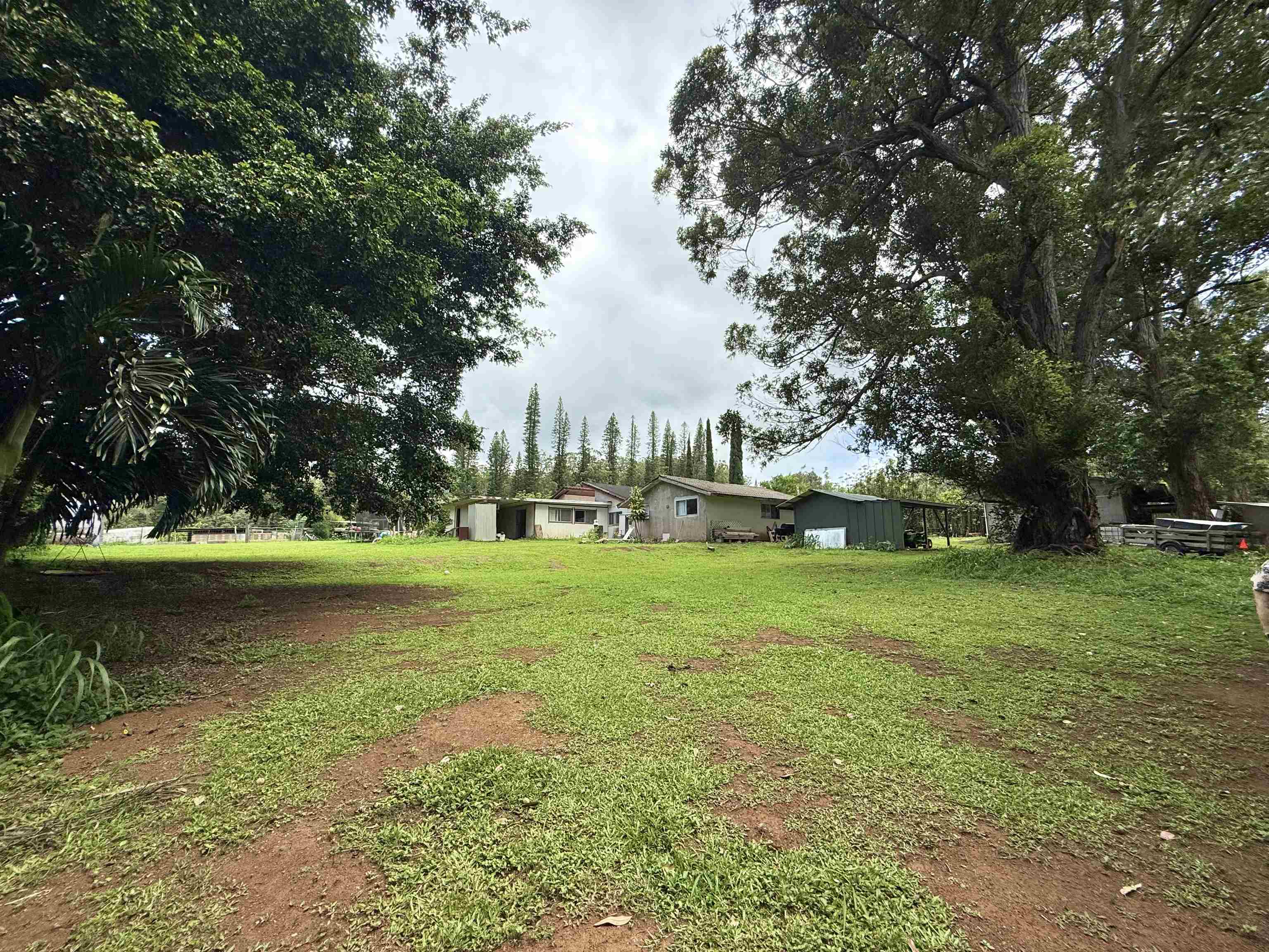 1630 Kauhikoa Road Haiku, HI 96708 - Photo 44 of 48 a view of yard with swimming pool and green space
