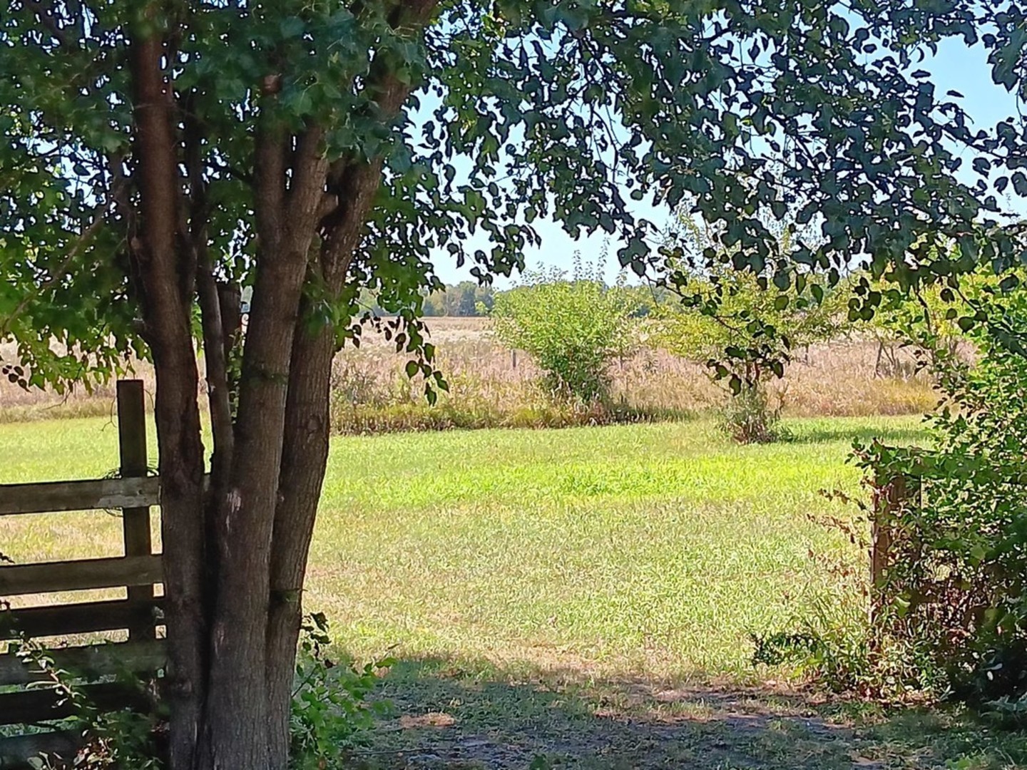 1435 North 2401st Road Ottawa, IL 61350 - Photo 3 of 30