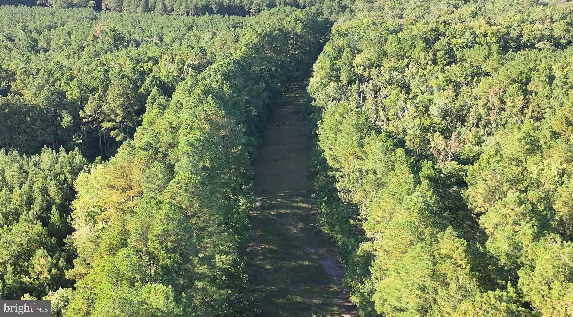 0 Bear Swamp Road Parsonsburg, MD 21849 - Photo 6 of 7