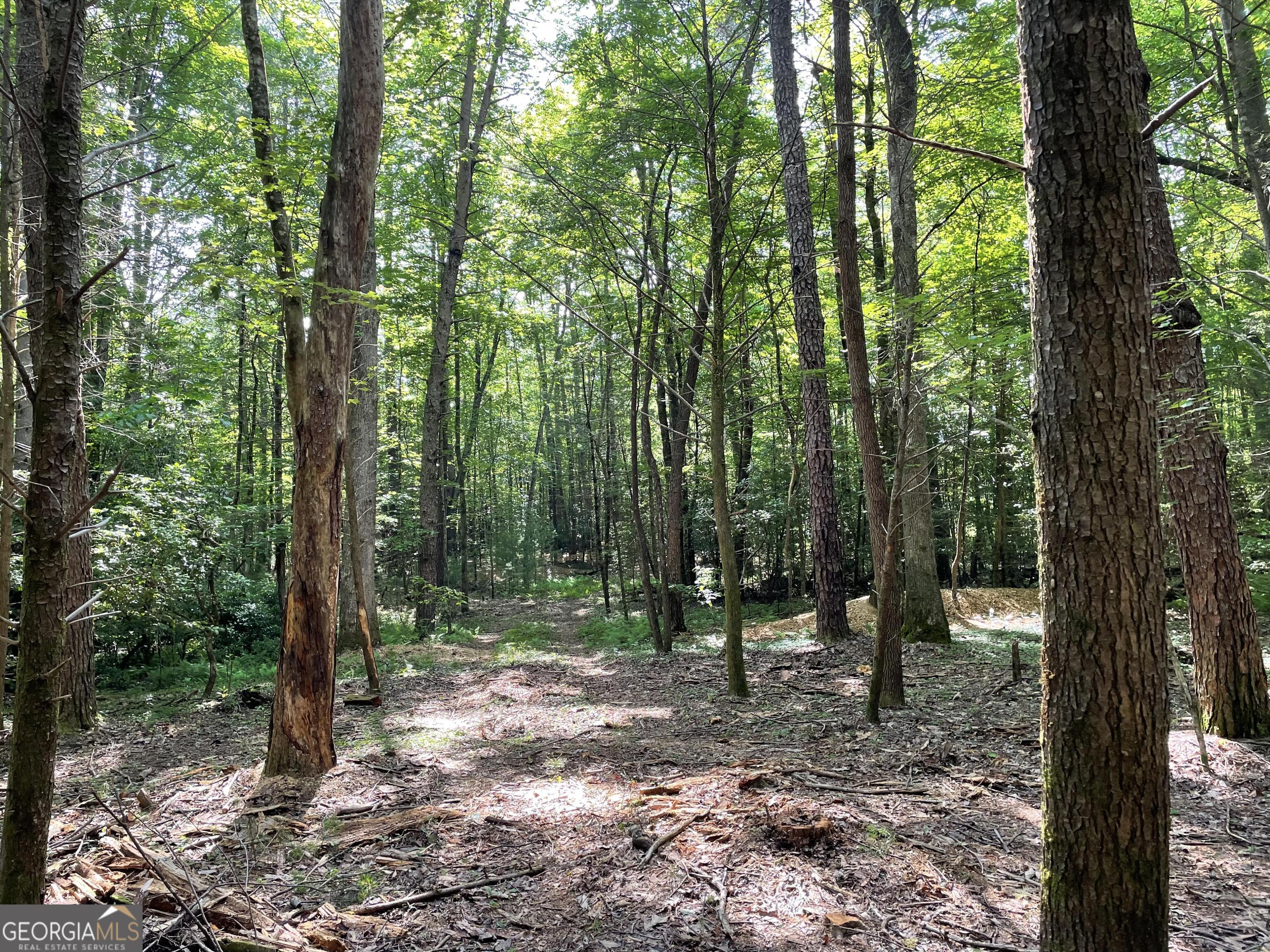 0 Rivers End Trail Suches, GA 30572 - Photo 11 of 36