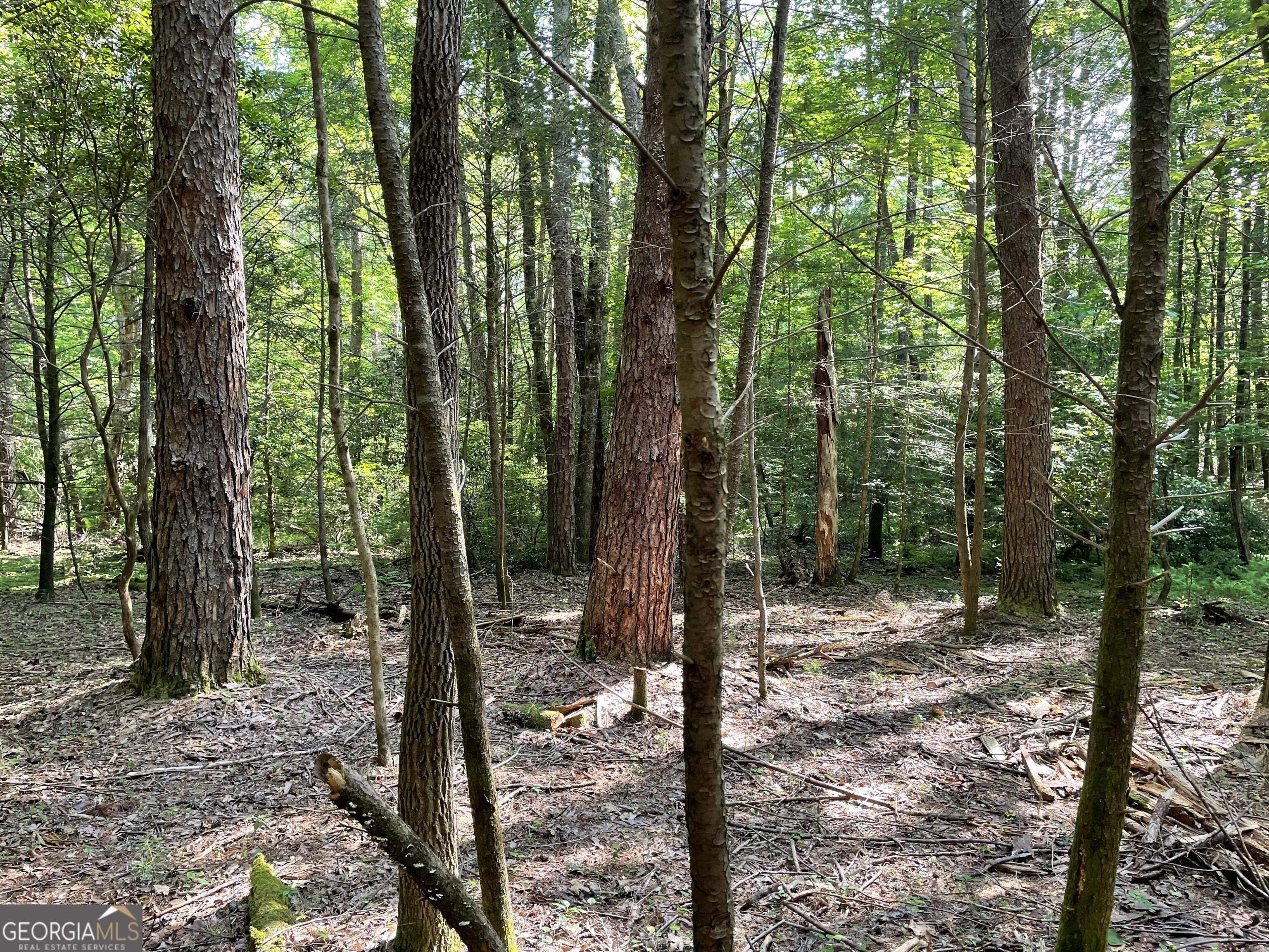 0 Rivers End Trail Suches, GA 30572 - Photo 12 of 36