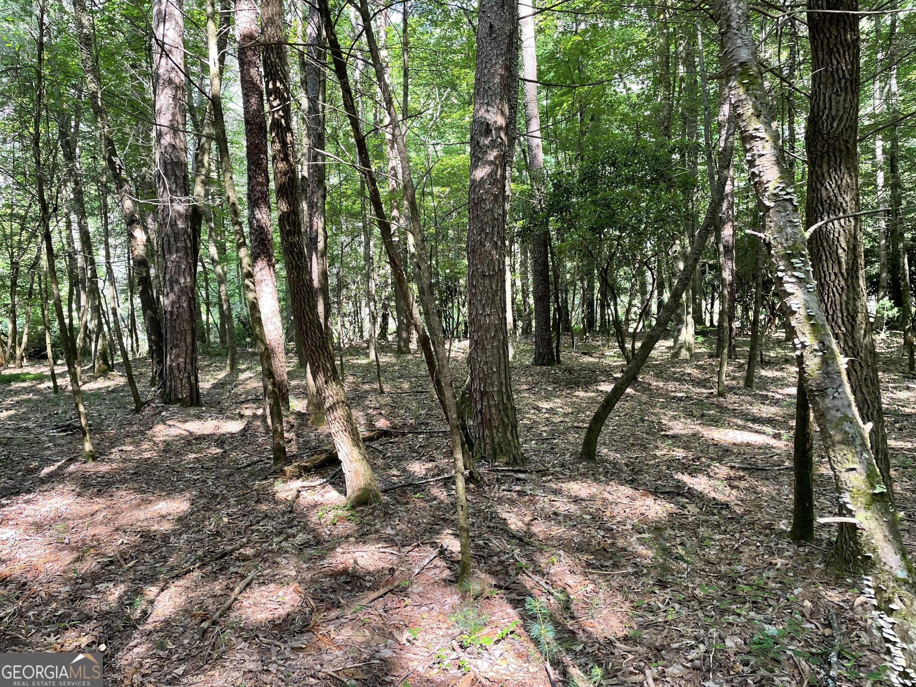 0 Rivers End Trail Suches, GA 30572 - Photo 13 of 36