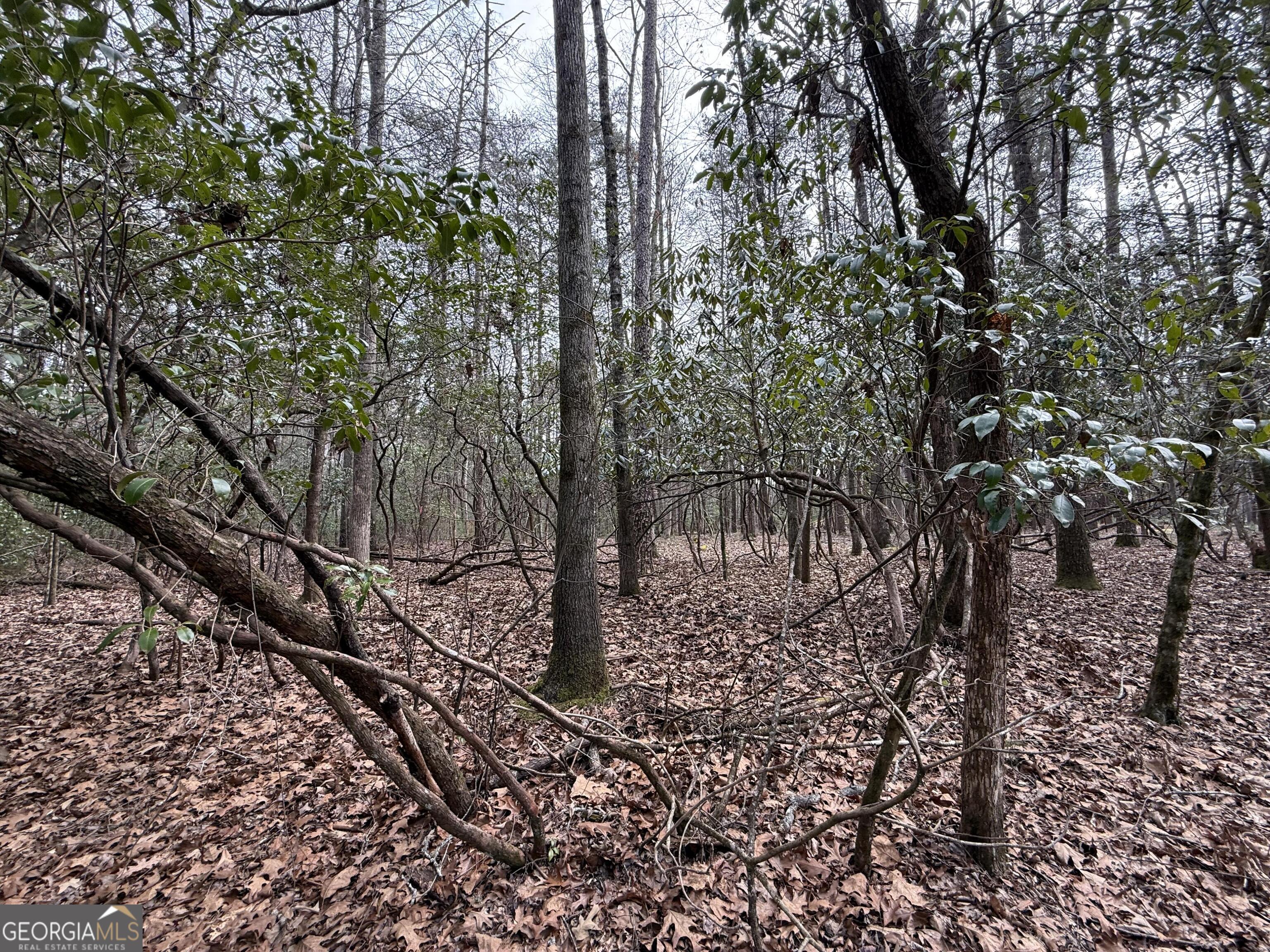 0 Rivers End Trail Suches, GA 30572 - Photo 14 of 36