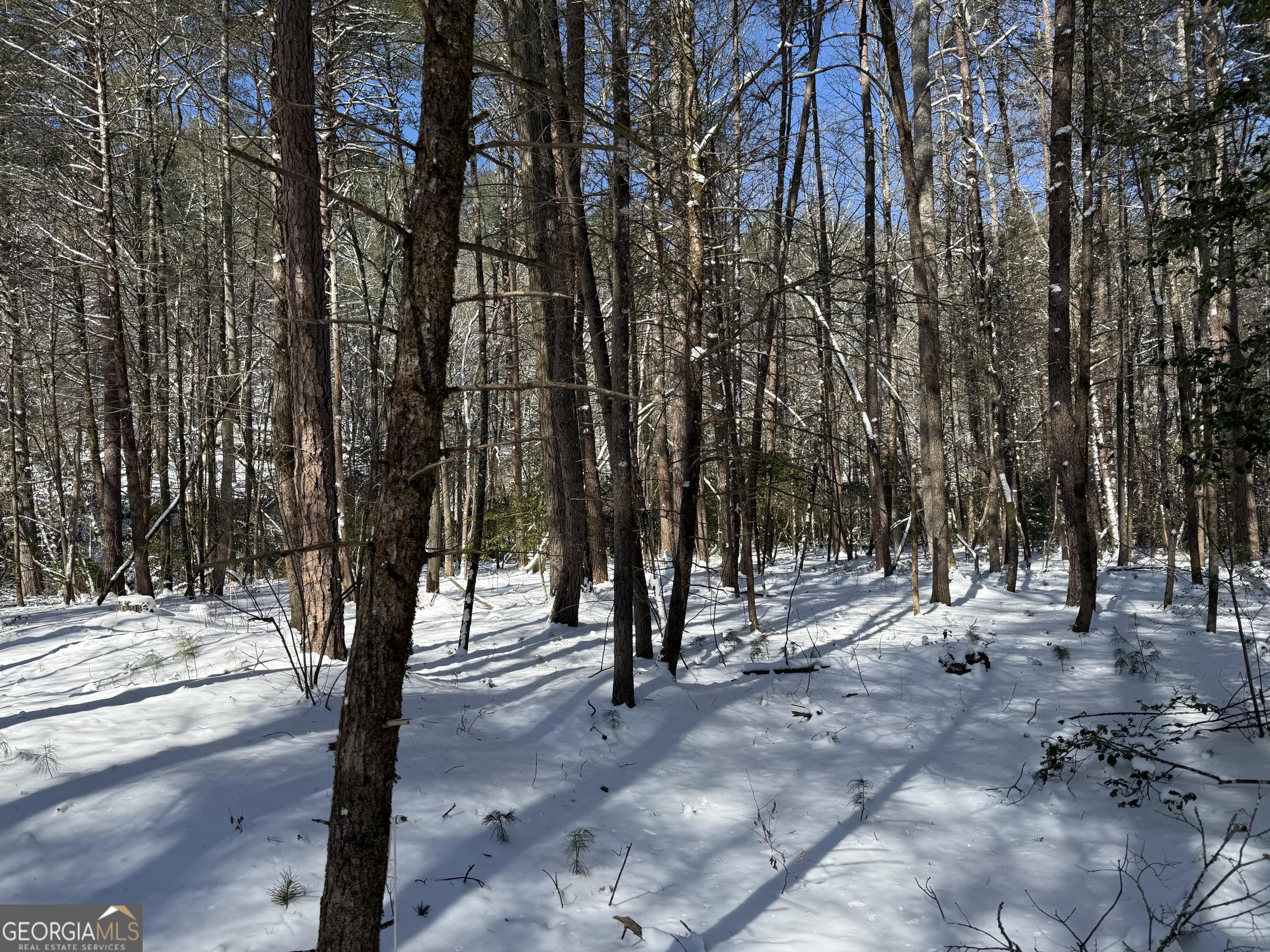 0 Rivers End Trail Suches, GA 30572 - Photo 17 of 36