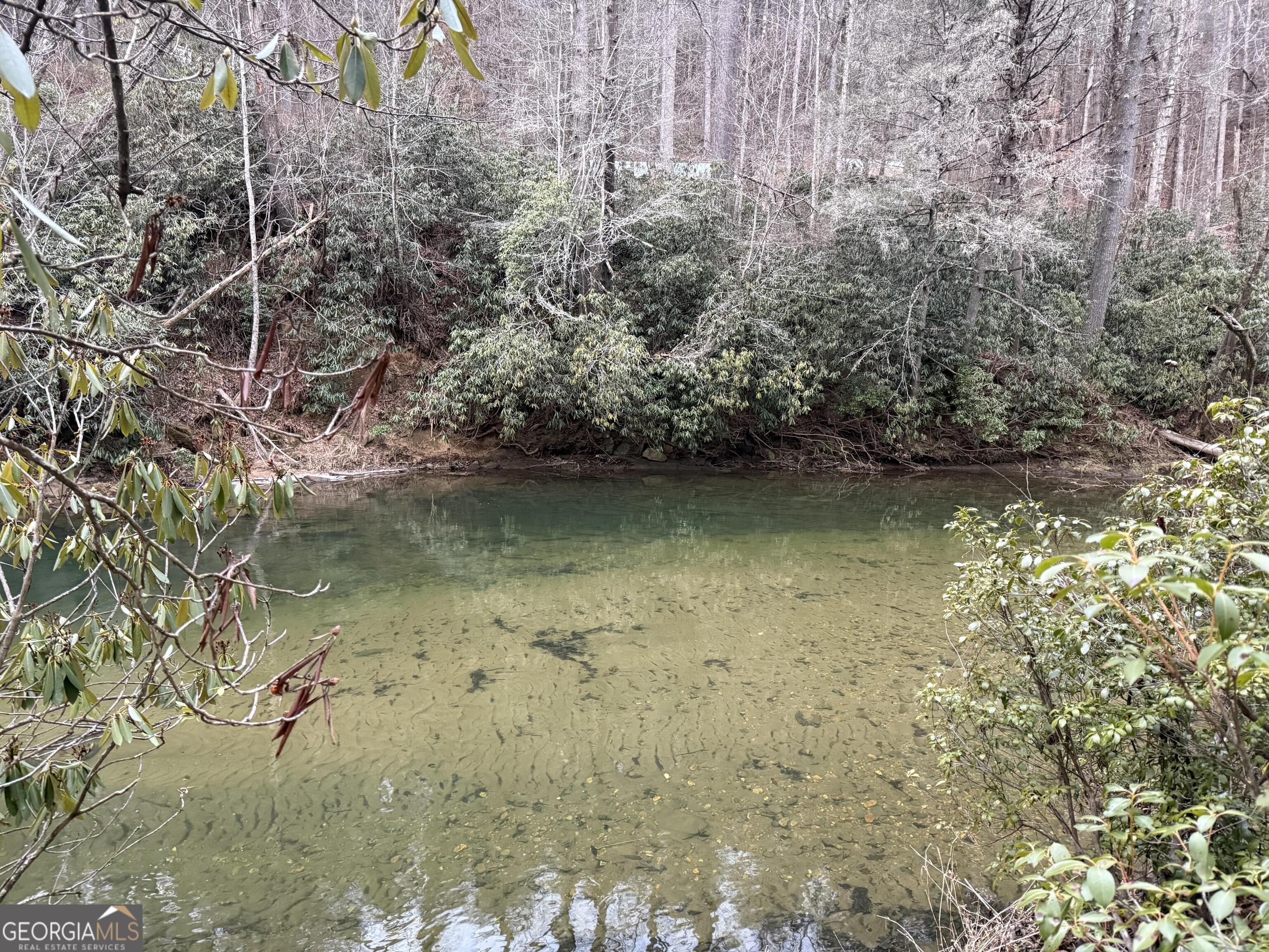 0 Rivers End Trail Suches, GA 30572 - Photo 18 of 36