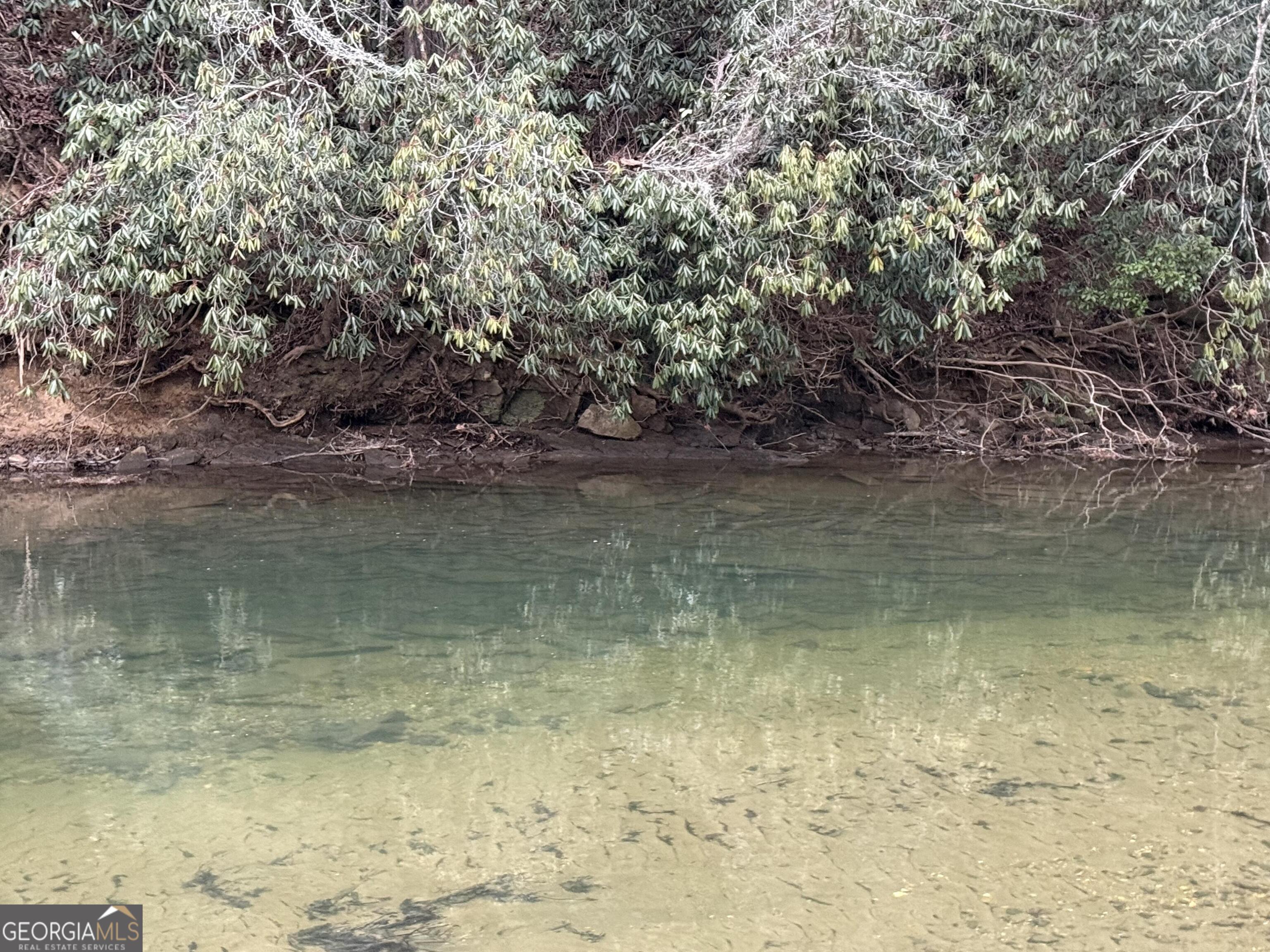 0 Rivers End Trail Suches, GA 30572 - Photo 19 of 36