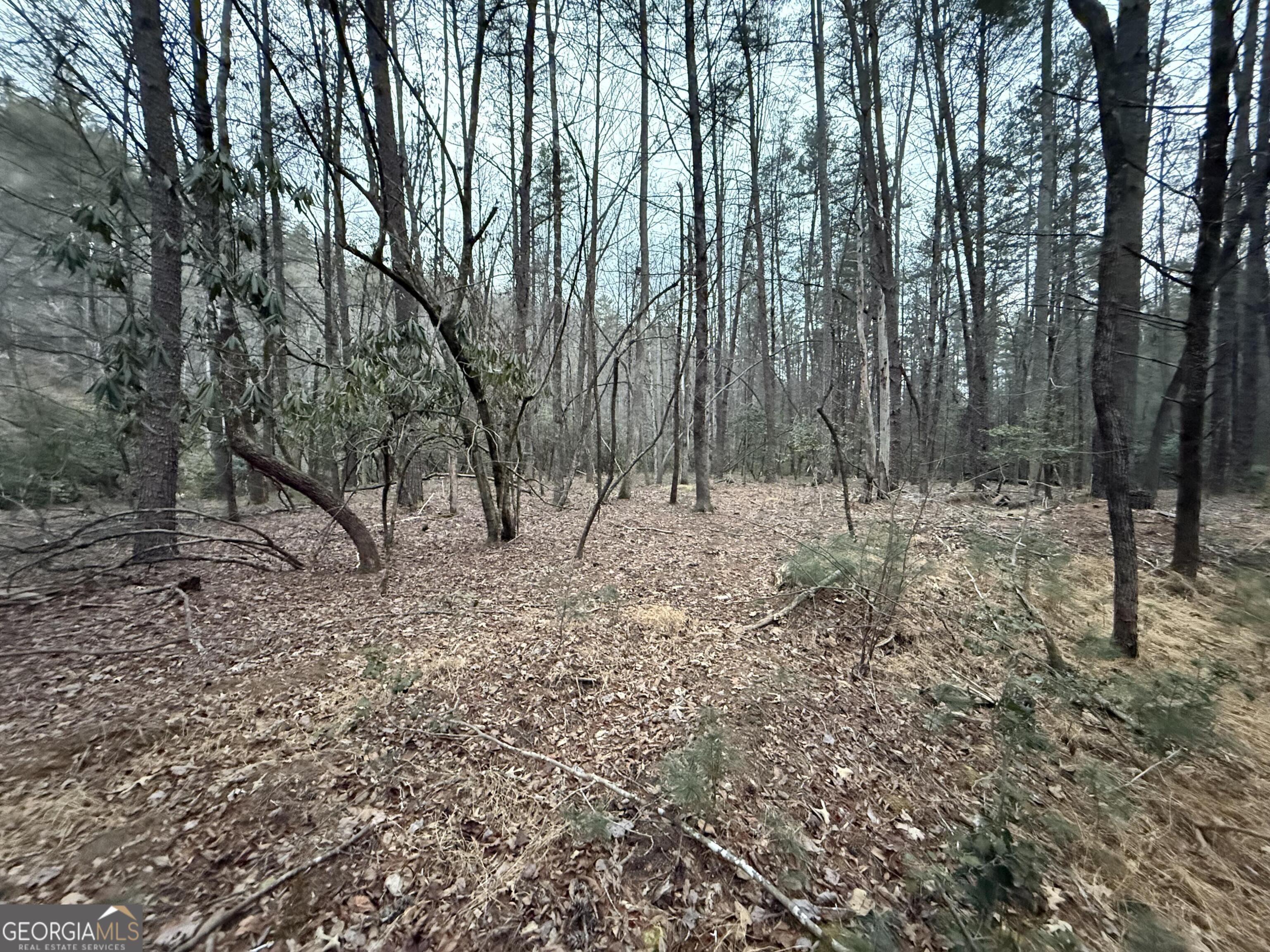 0 Rivers End Trail Suches, GA 30572 - Photo 25 of 36