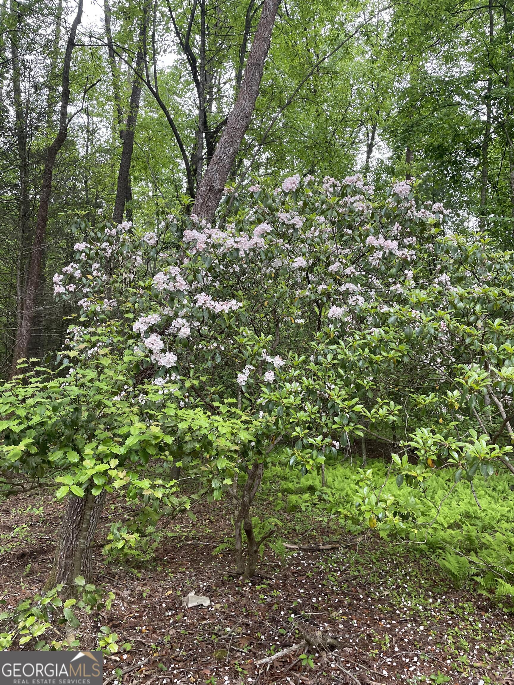 0 Rivers End Trail Suches, GA 30572 - Photo 31 of 36