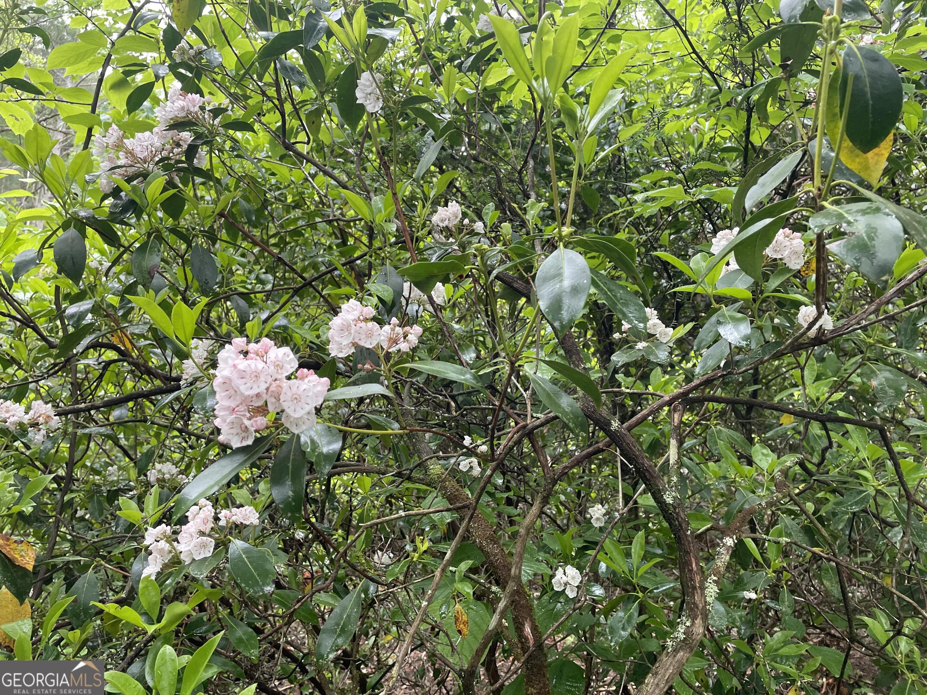 0 Rivers End Trail Suches, GA 30572 - Photo 32 of 36