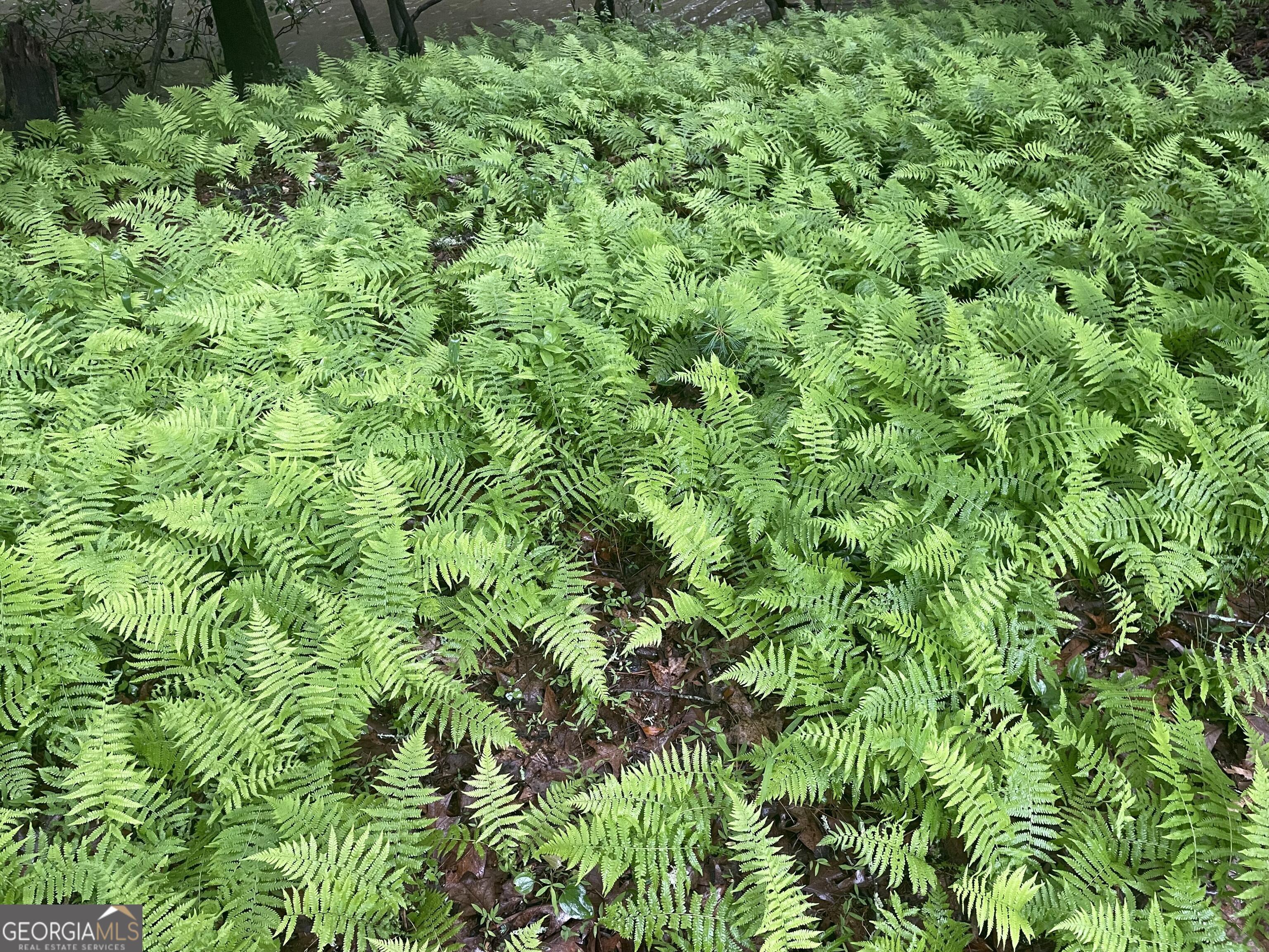 0 Rivers End Trail Suches, GA 30572 - Photo 33 of 36