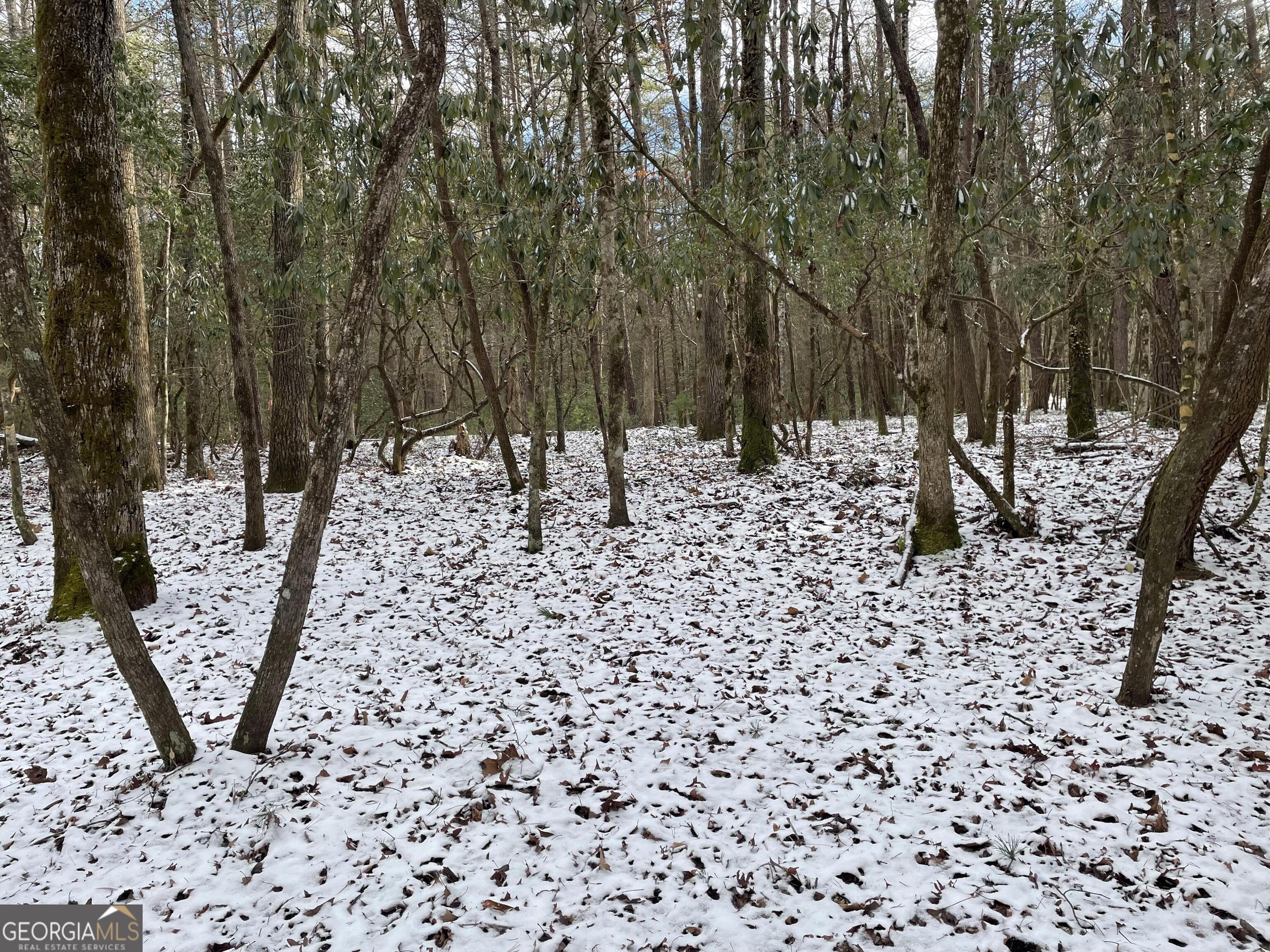 0 Rivers End Trail Suches, GA 30572 - Photo 35 of 36