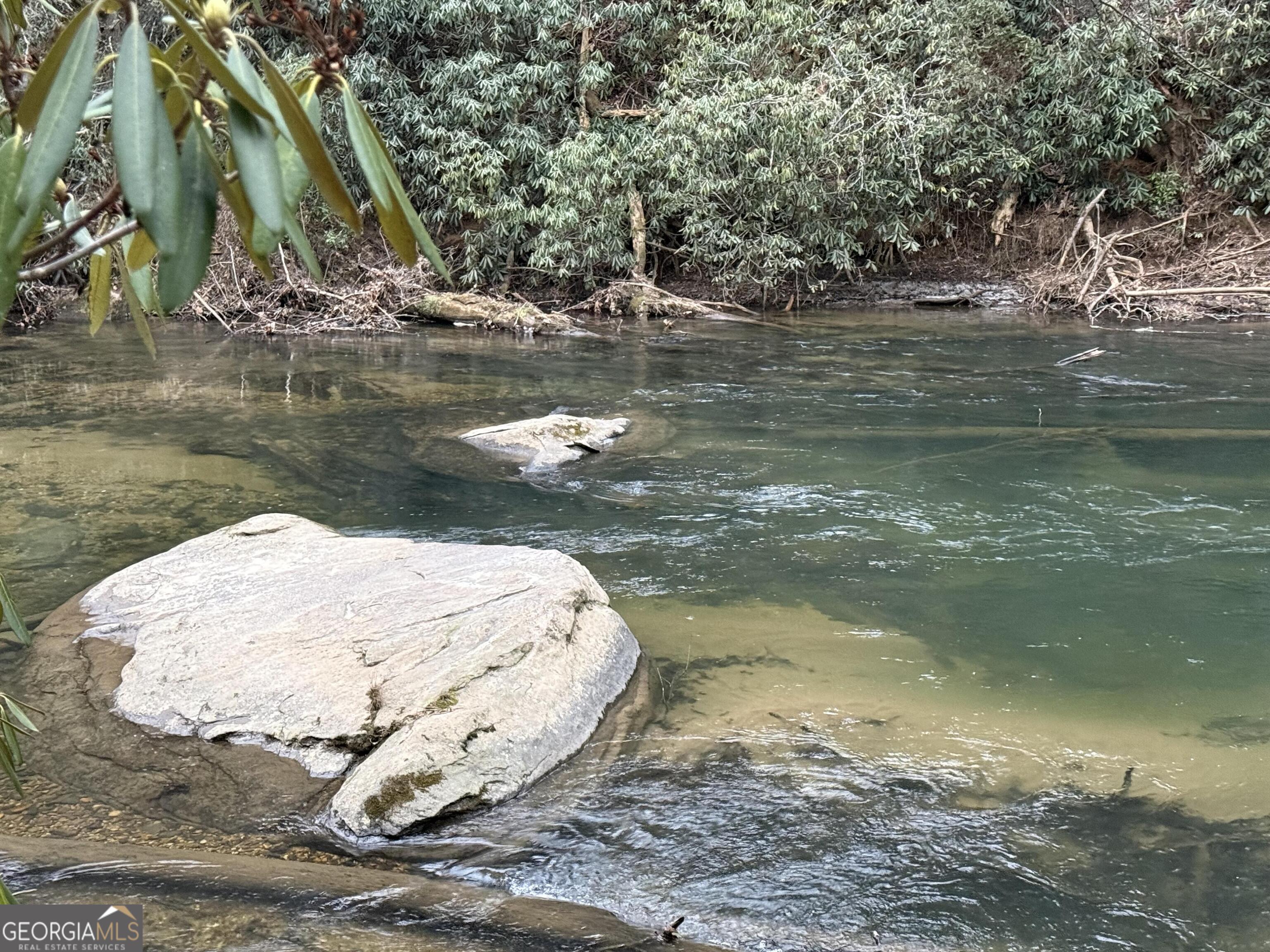 0 Rivers End Trail Suches, GA 30572 - Photo 5 of 36