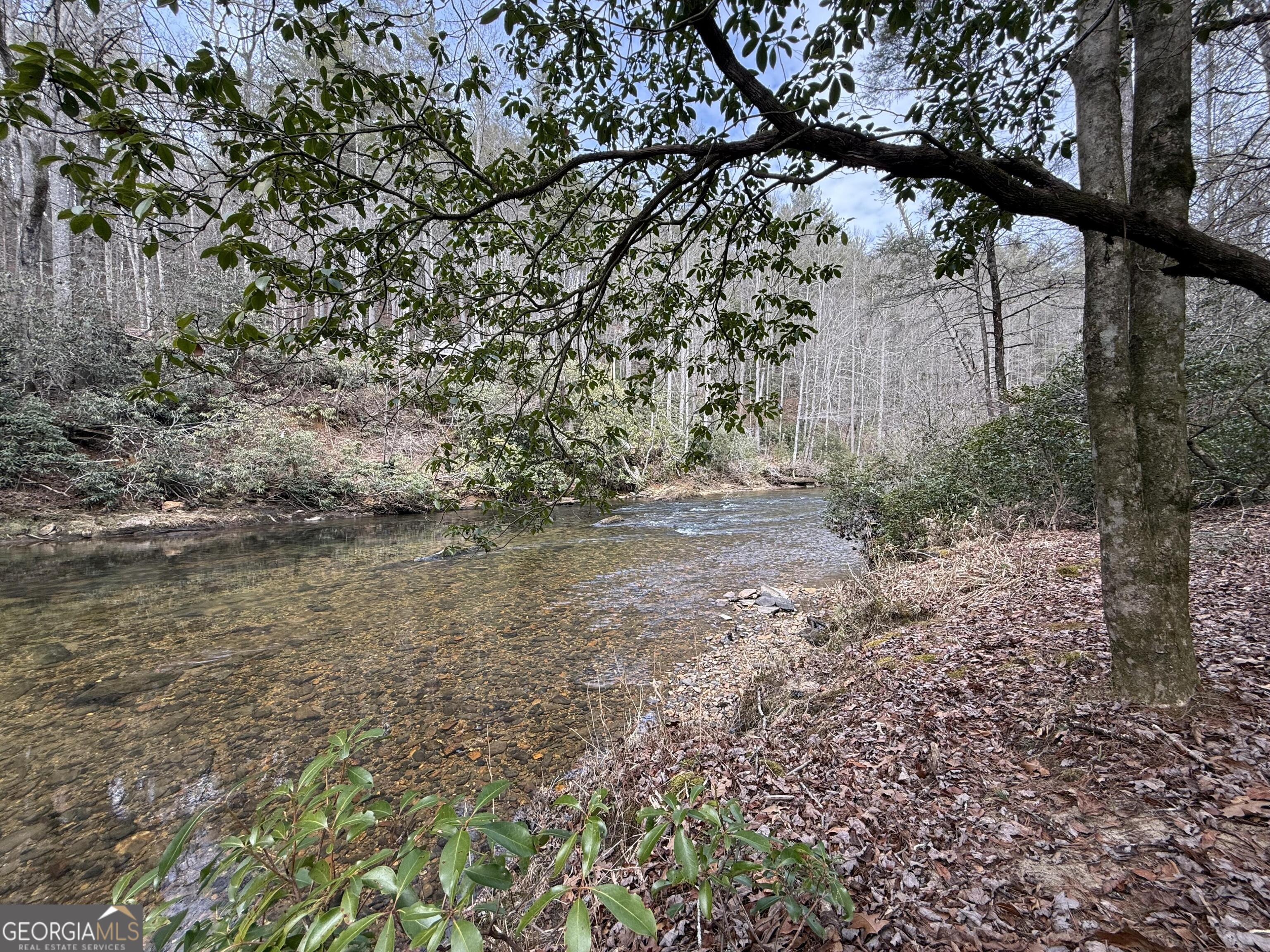 0 Rivers End Trail Suches, GA 30572 - Photo 7 of 36
