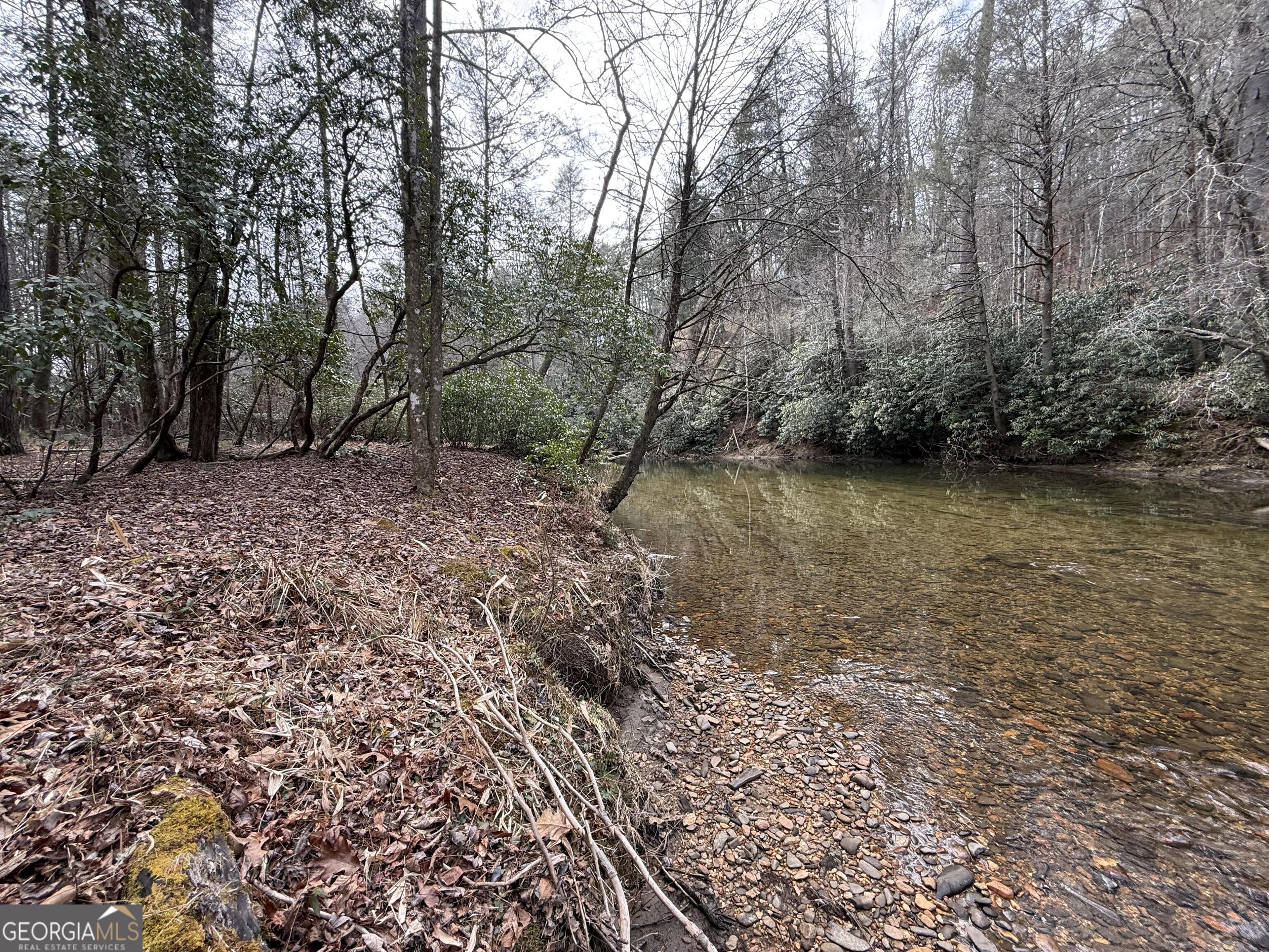 0 Rivers End Trail Suches, GA 30572 - Photo 8 of 36