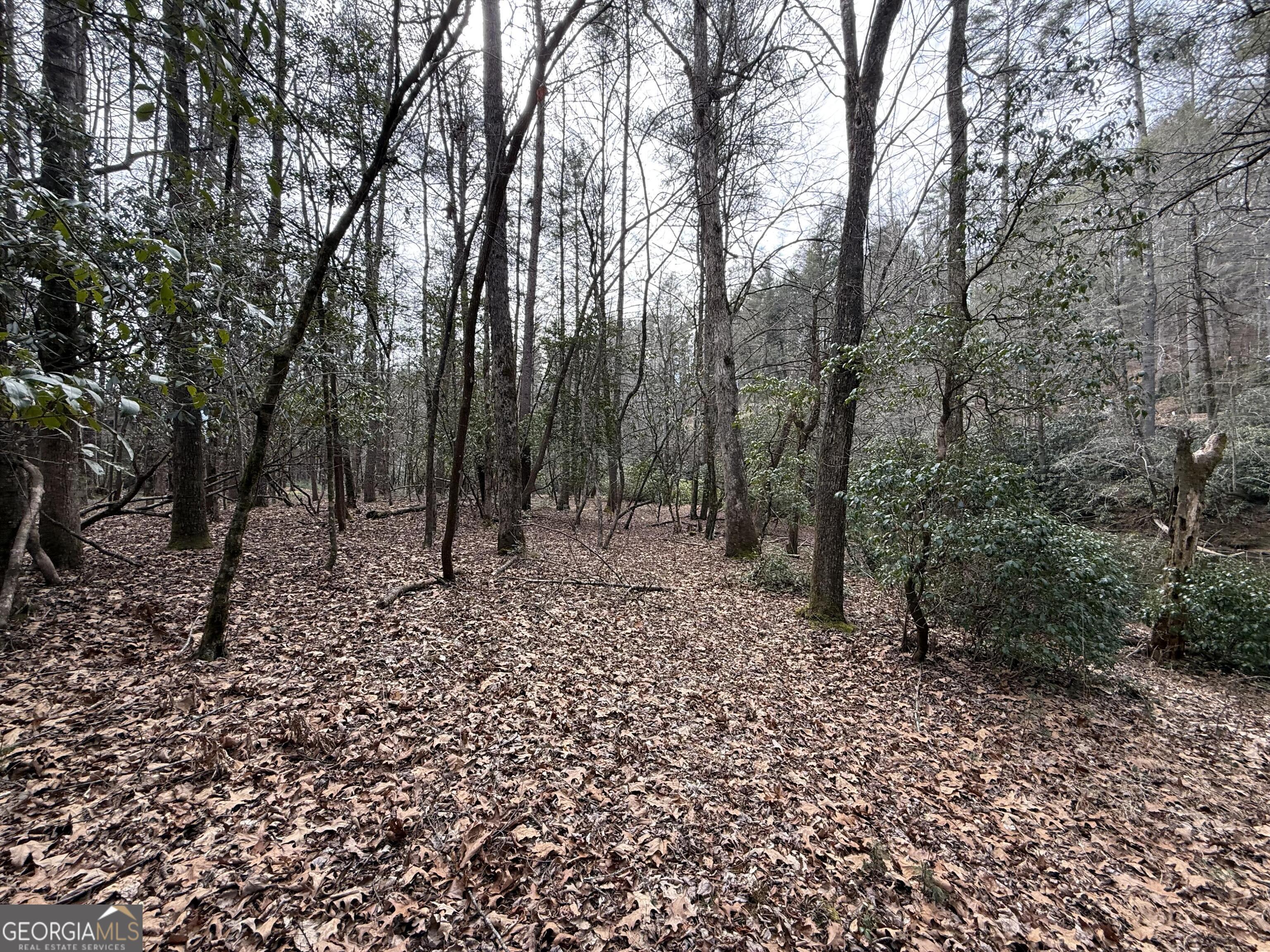 0 Rivers End Trail Suches, GA 30572 - Photo 9 of 36