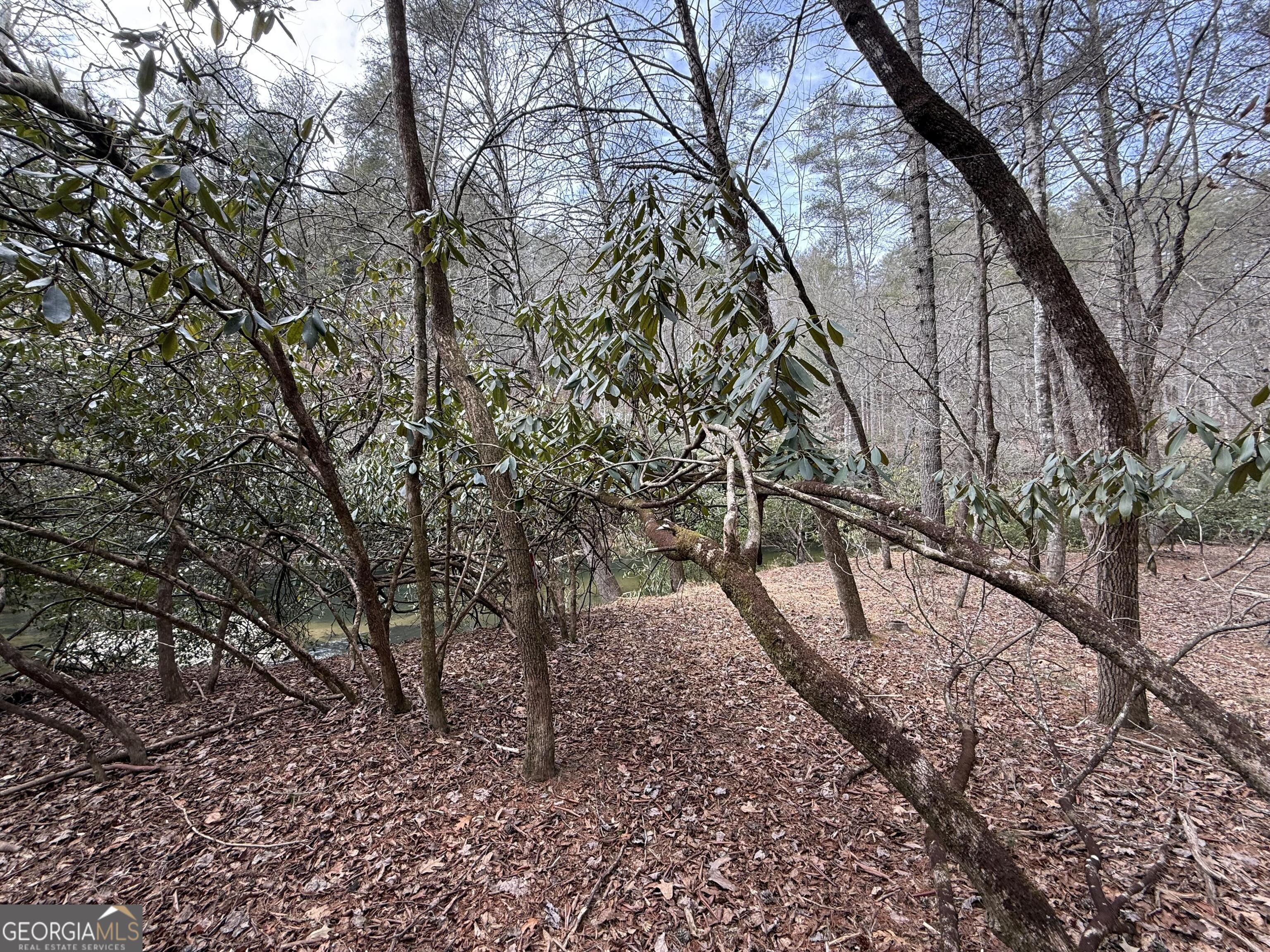 0 Rivers End Trail Suches, GA 30572 - Photo 10 of 36