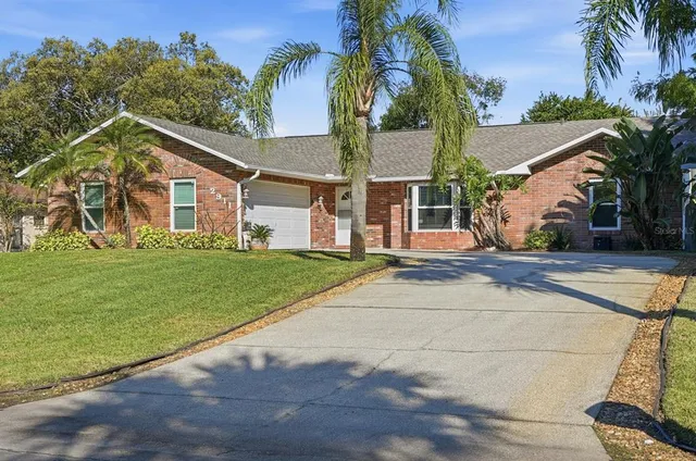 a view of a house with a small yard and palm trees