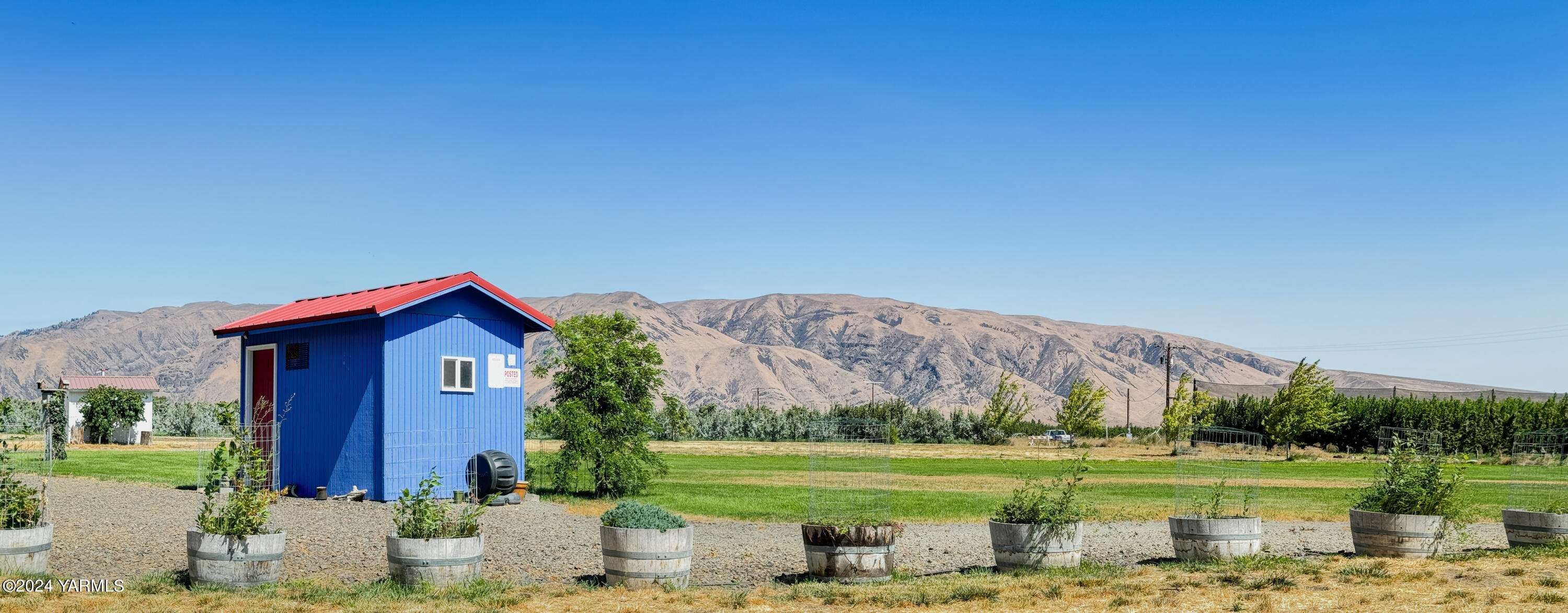 3155 Rosenkranz Road Tieton, WA 98947 - Photo 1 of 33 1-print-HarrisL_240812_RosenkranzRd_Tiet