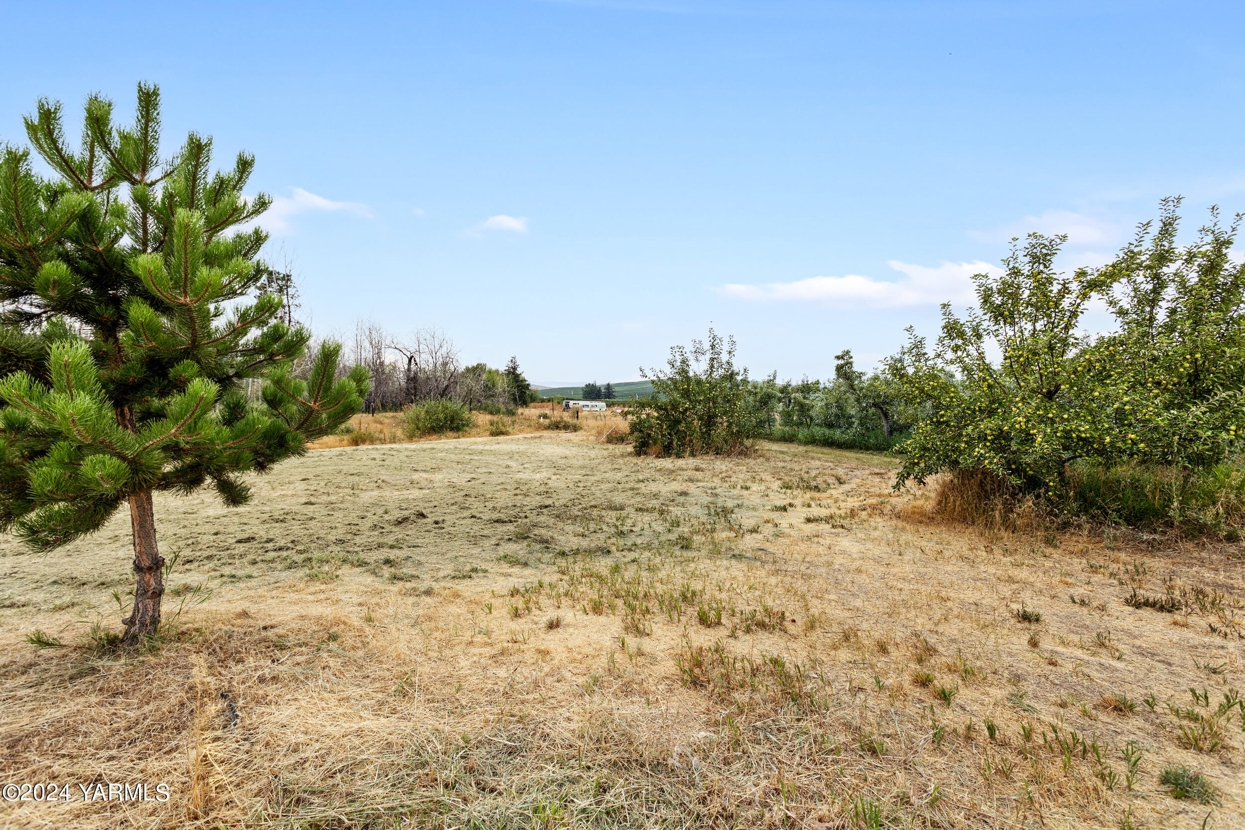 3155 Rosenkranz Road Tieton, WA 98947 - Photo 29 of 33 3155 Rosenkranz_25