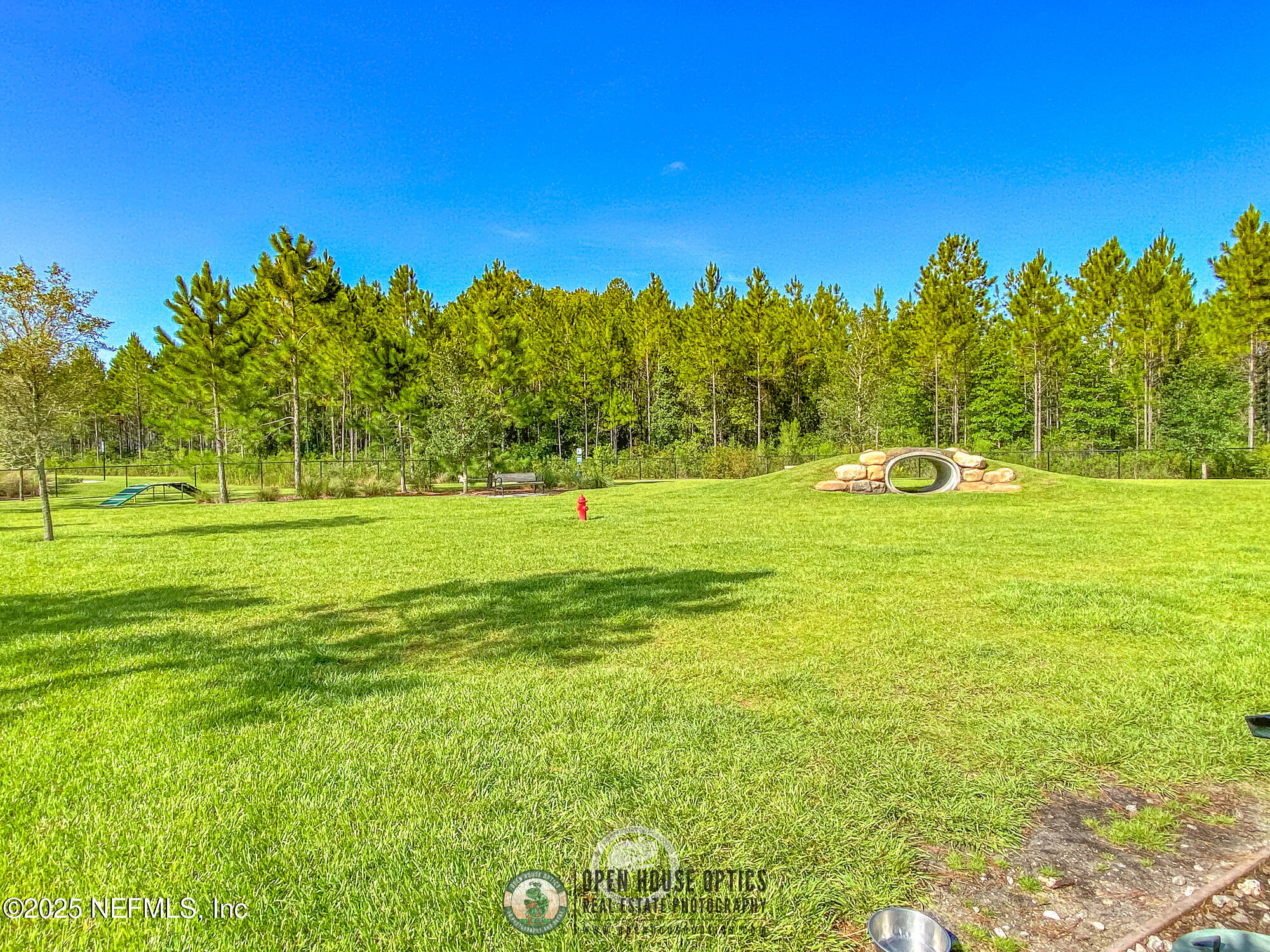 116 Permit Court St. Augustine, FL 32092 - Photo 59 of 89 a view of a large trees with a big yard