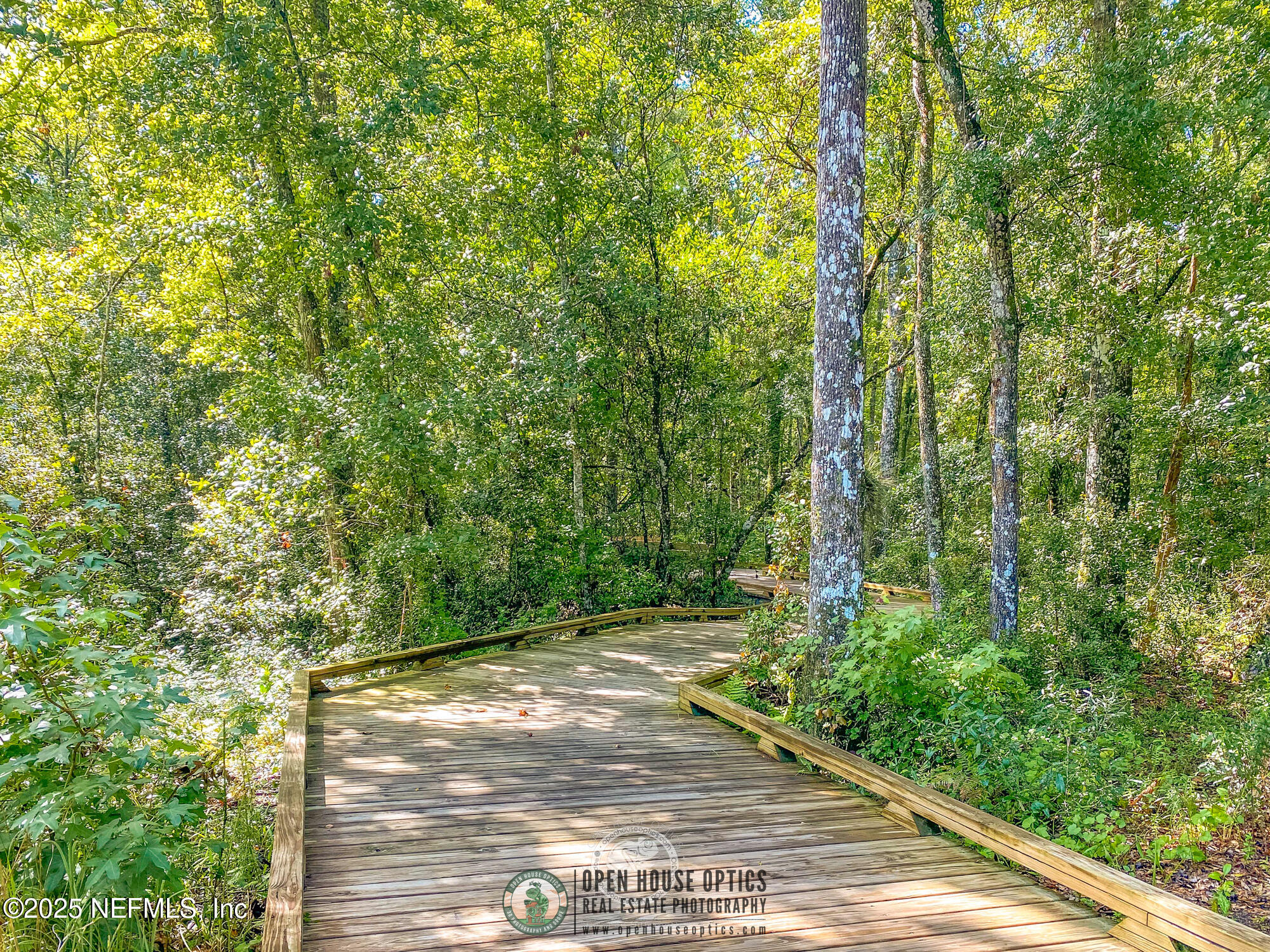 116 Permit Court St. Augustine, FL 32092 - Photo 74 of 89 a view of a yard with plants and large trees