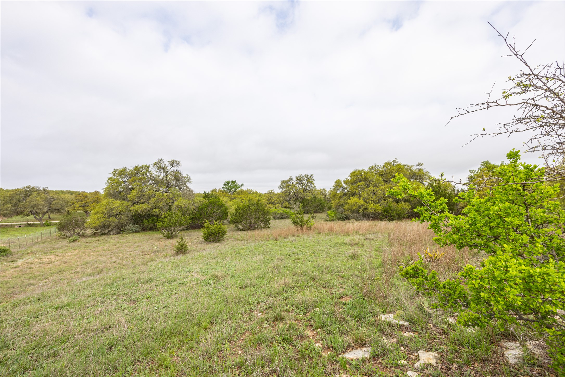 Tbd Tbd Logan's Way Blanco, TX 78606 - Photo 11 of 25 View of yard