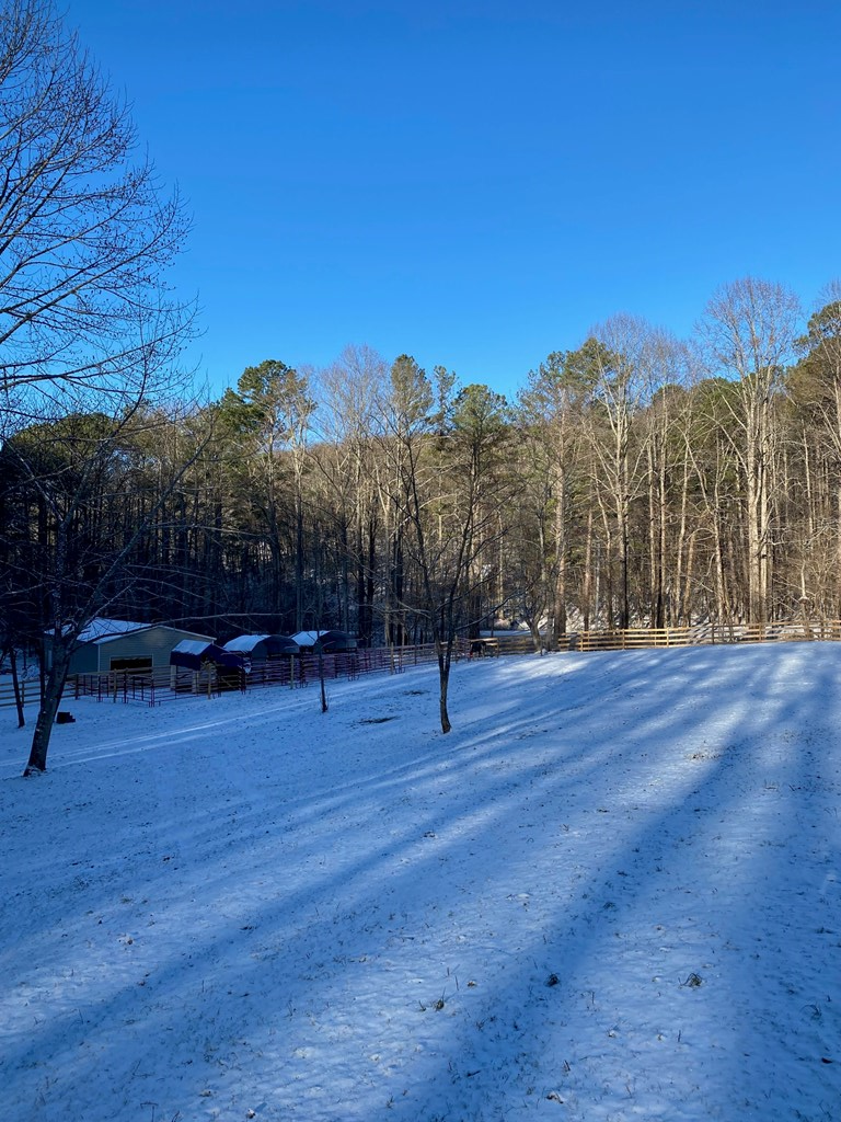 3 Doublehead Gap Road Blue Ridge, GA 30513 - Photo 11 of 12 Gallery Image 11