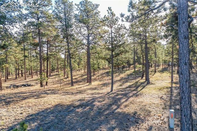 17501 Abert Ridge View Colorado Springs, CO 80908 - Photo 41 of 45 Gallery Image 41