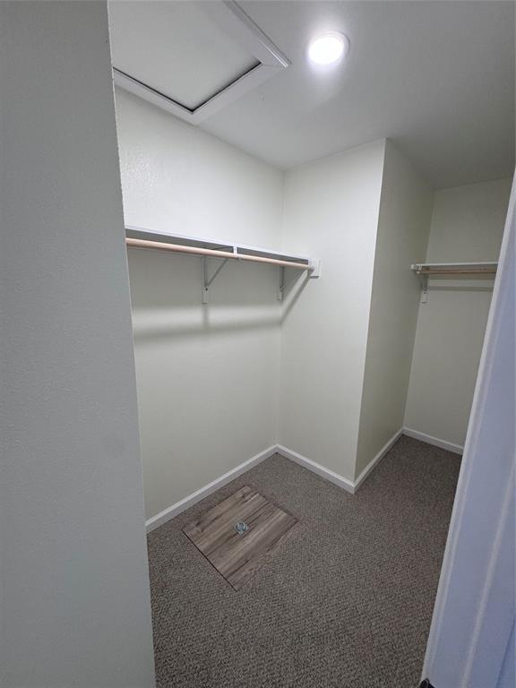1736 Ransom Terrace Fort Worth, TX 76112 - Photo 15 of 27 Closet space featuring carpet flooring and a wood-finish access panel