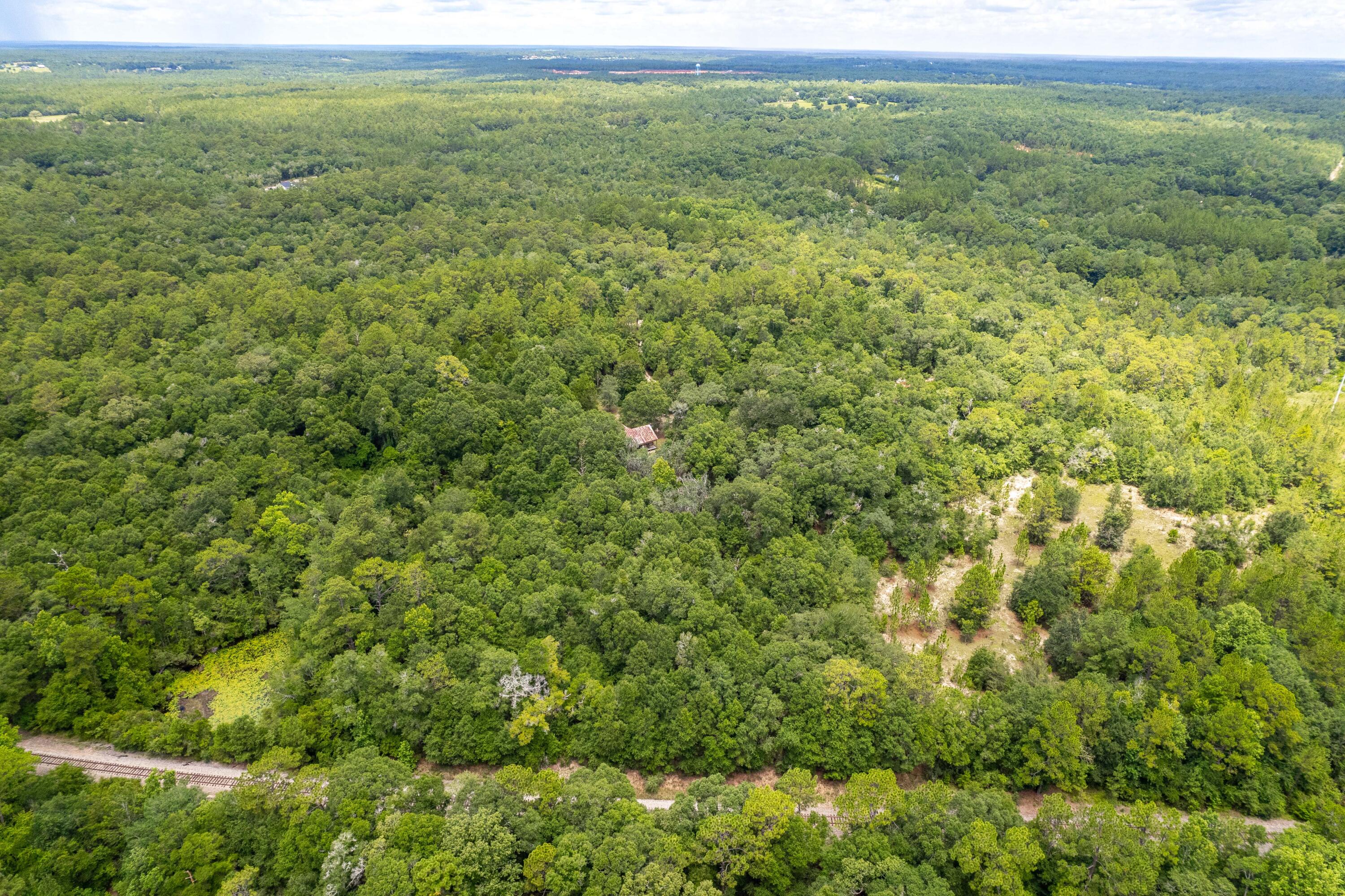 90 West Baker Baker, FL 32531 - Photo 8 of 8 a view of a big yard with plants and large trees