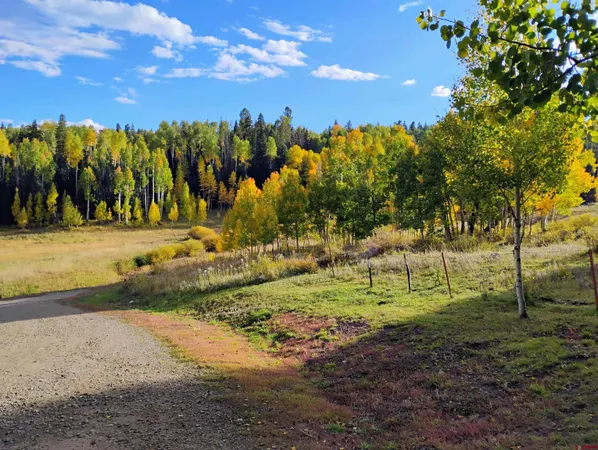 $780,000 | 239-241 Spruce Glen, Pagosa Springs, CO 81147