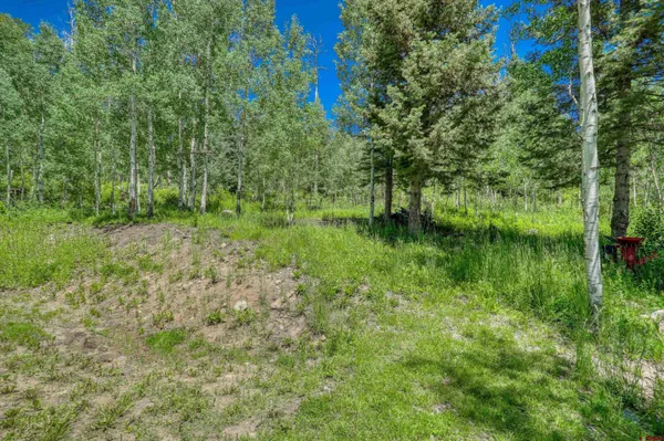 $780,000 | 239-241 Spruce Glen, Pagosa Springs, CO 81147