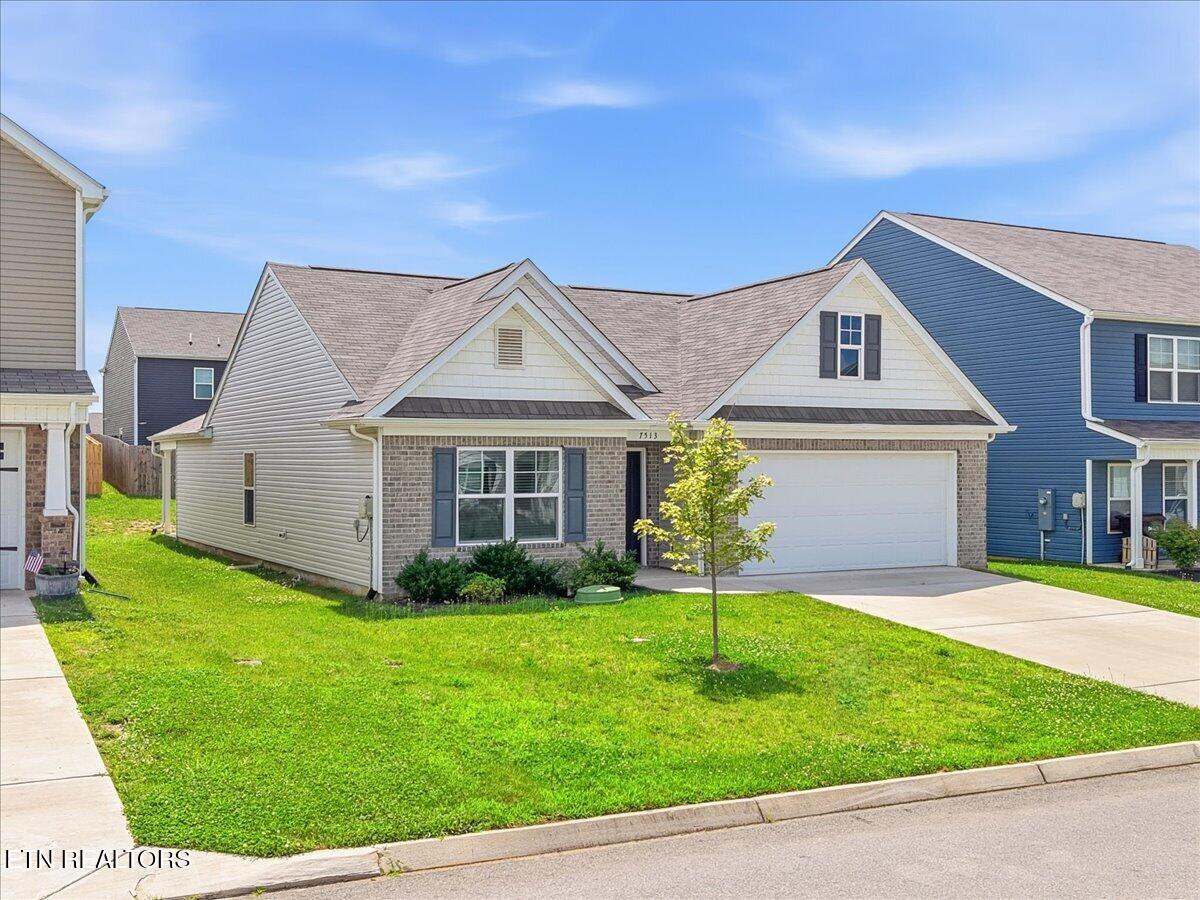 7513 Cottontail Street Corryton, TN 37721 - Photo 3 of 43 03-7513 Cottontail St 3