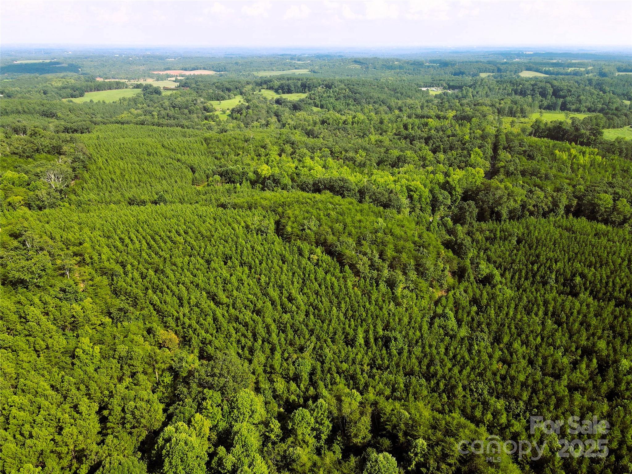 0 Irvin Road Ellenboro, NC 28040 - Photo 23 of 29