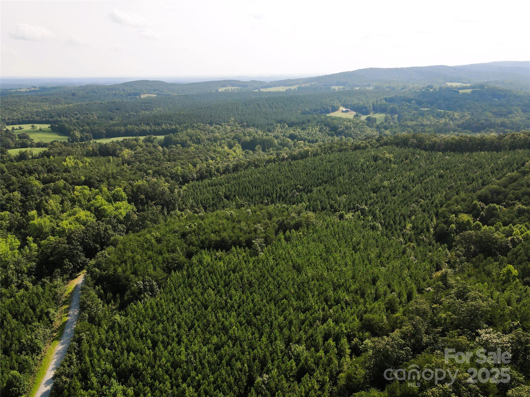 0 Irvin Road Ellenboro, NC 28040 - Photo 24 of 29