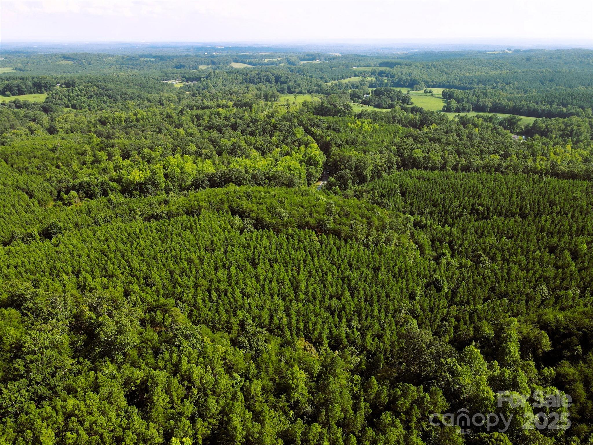 0 Irvin Road Ellenboro, NC 28040 - Photo 26 of 29