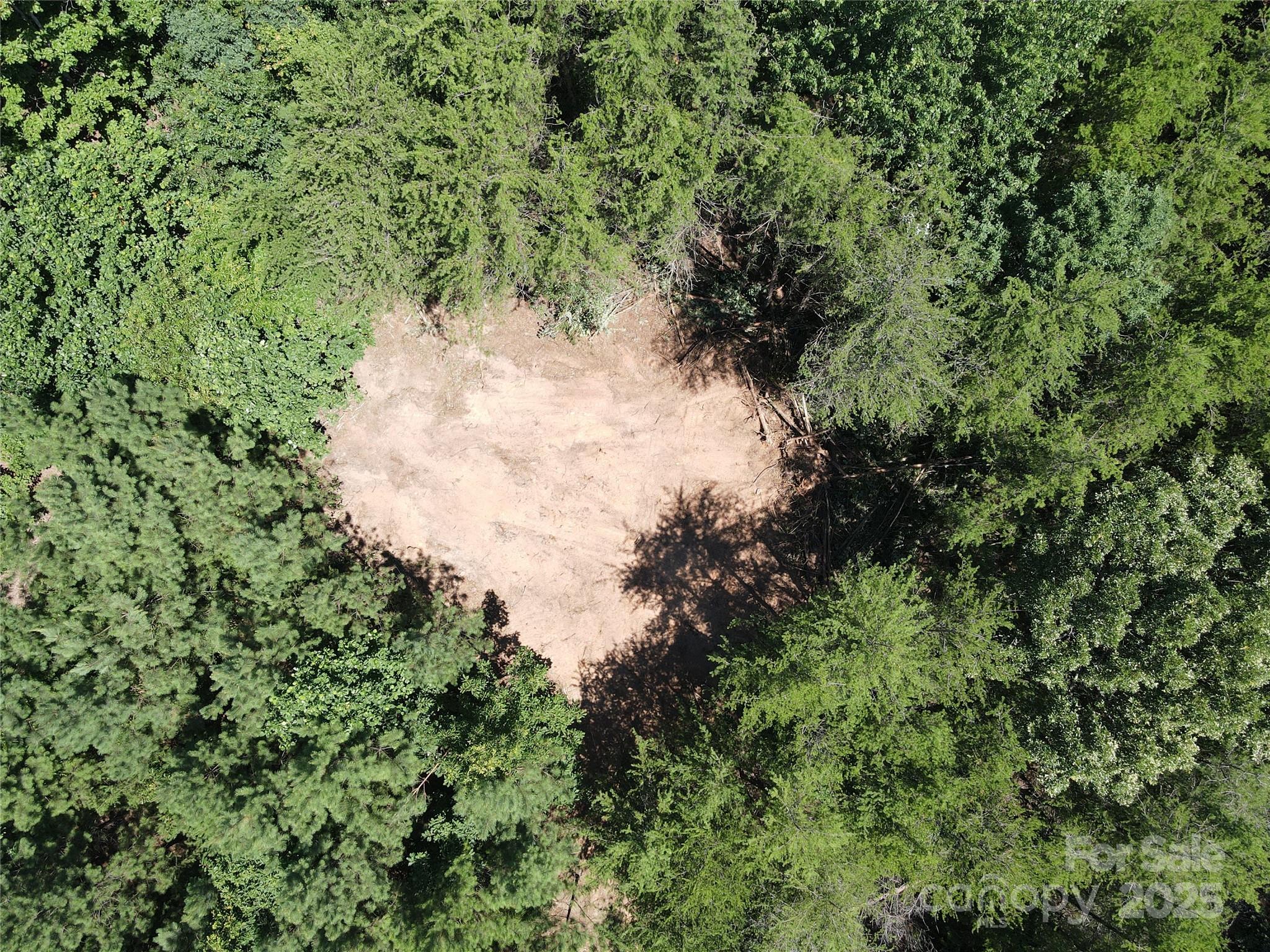 0 Irvin Road Ellenboro, NC 28040 - Photo 5 of 29