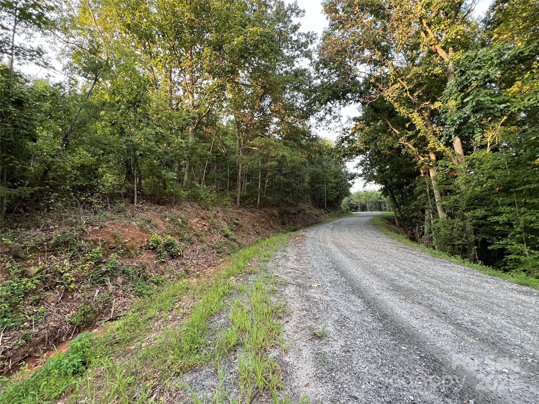 0 Irvin Road Ellenboro, NC 28040 - Photo 8 of 29